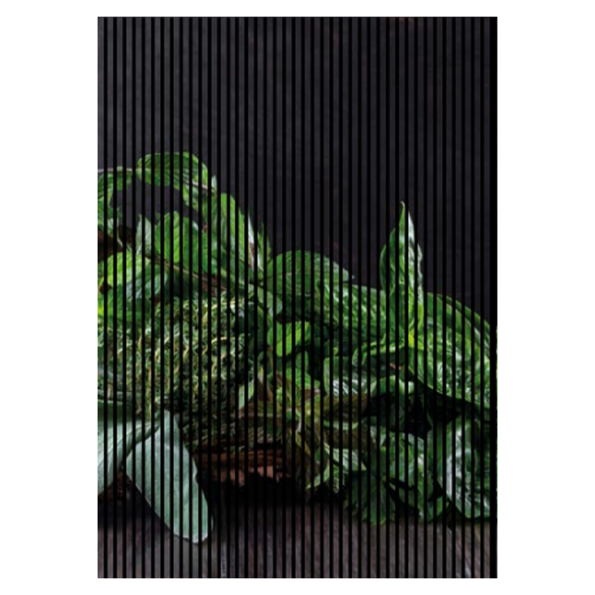 Paneles acústicos con estampado digital de hierbas, mesa de madera, paneles murales en verde, marrón y negro, disponibles en varios tamaños.