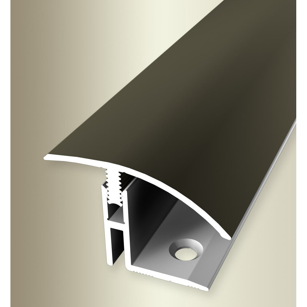 Perfil de transición PROVISTON, ancho 39 mm, altura de borde 17-22 mm, tira de transición