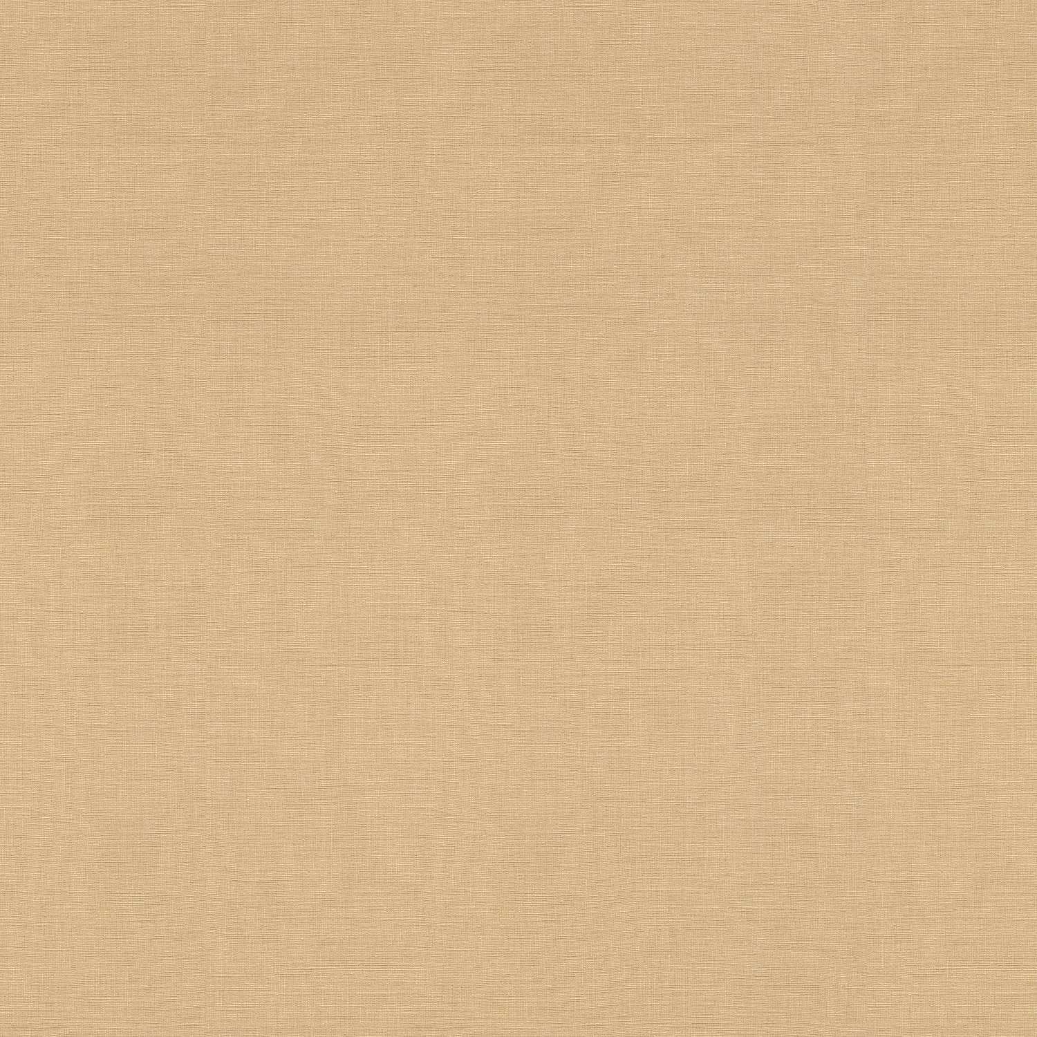 Rápido Rapsodia 531367 Papel pintado no tejido Color liso Universidad 0,53 x 10,05 m Oro