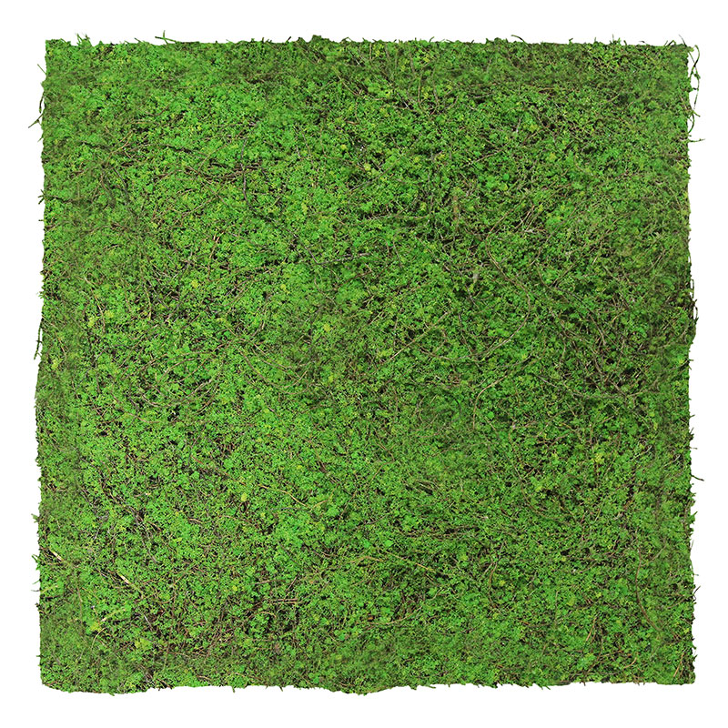 Panel acústico modular de pared JANGAL, 520 x 520 x 50 mm, color verde bosque, fibra natural de árbol antiguo.