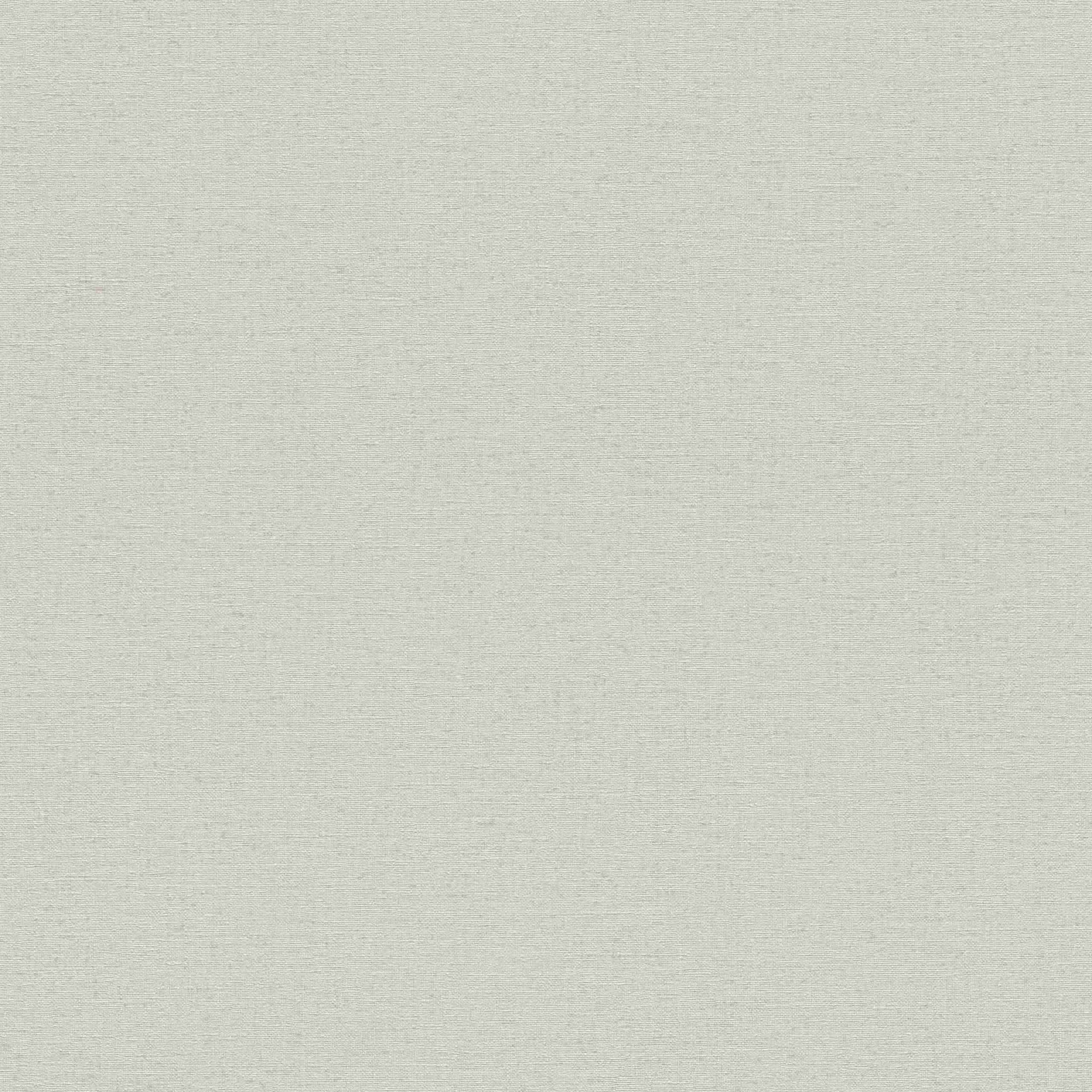 Rasch Texturas de pared Vol. IV 452013 Papel pintado no tejido Liso 0,53 x 10,05 m Gris