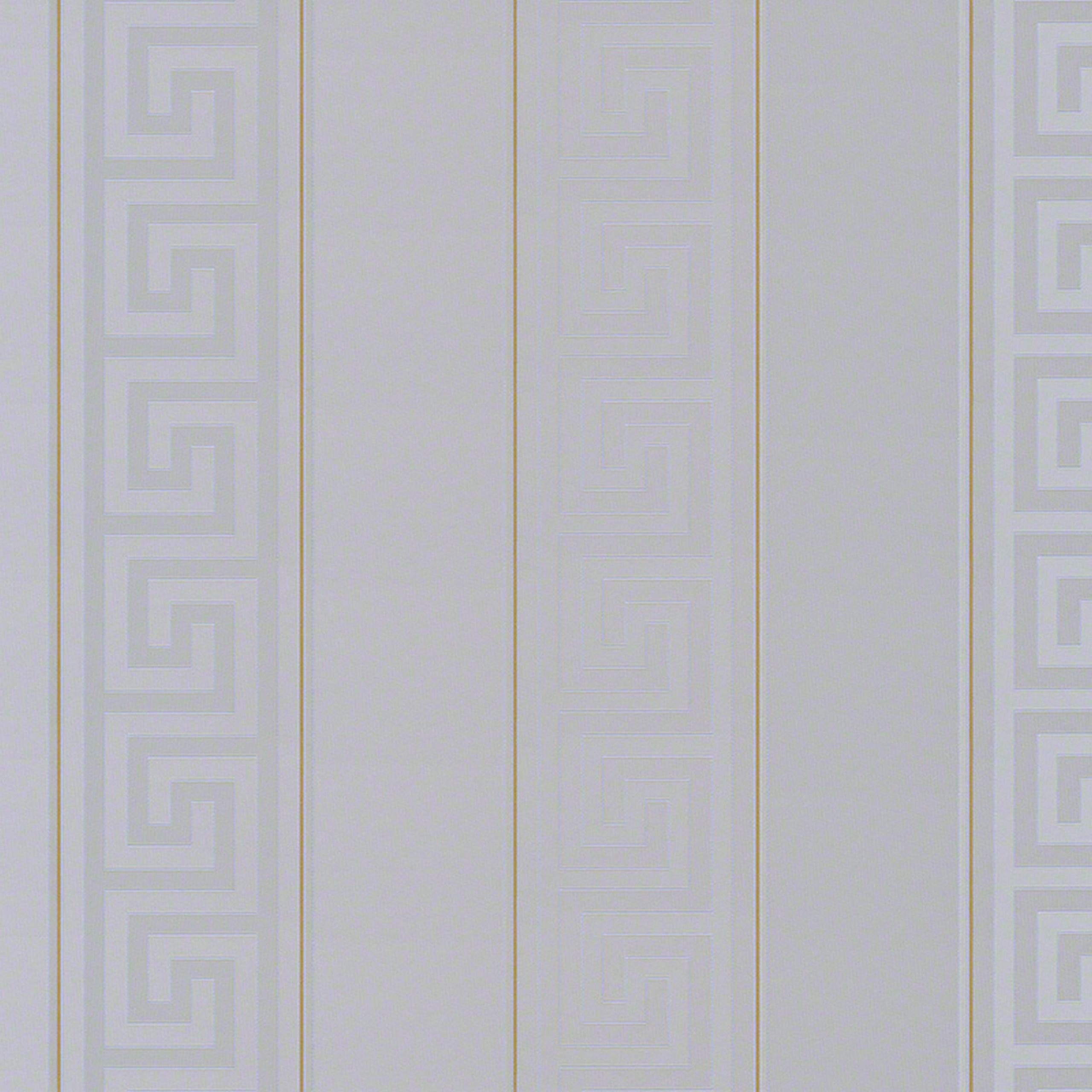 A.S. Creation Versace 935245 Papel pintado no tejido Estampados y motivos 0,7 x 10,05 m Plata