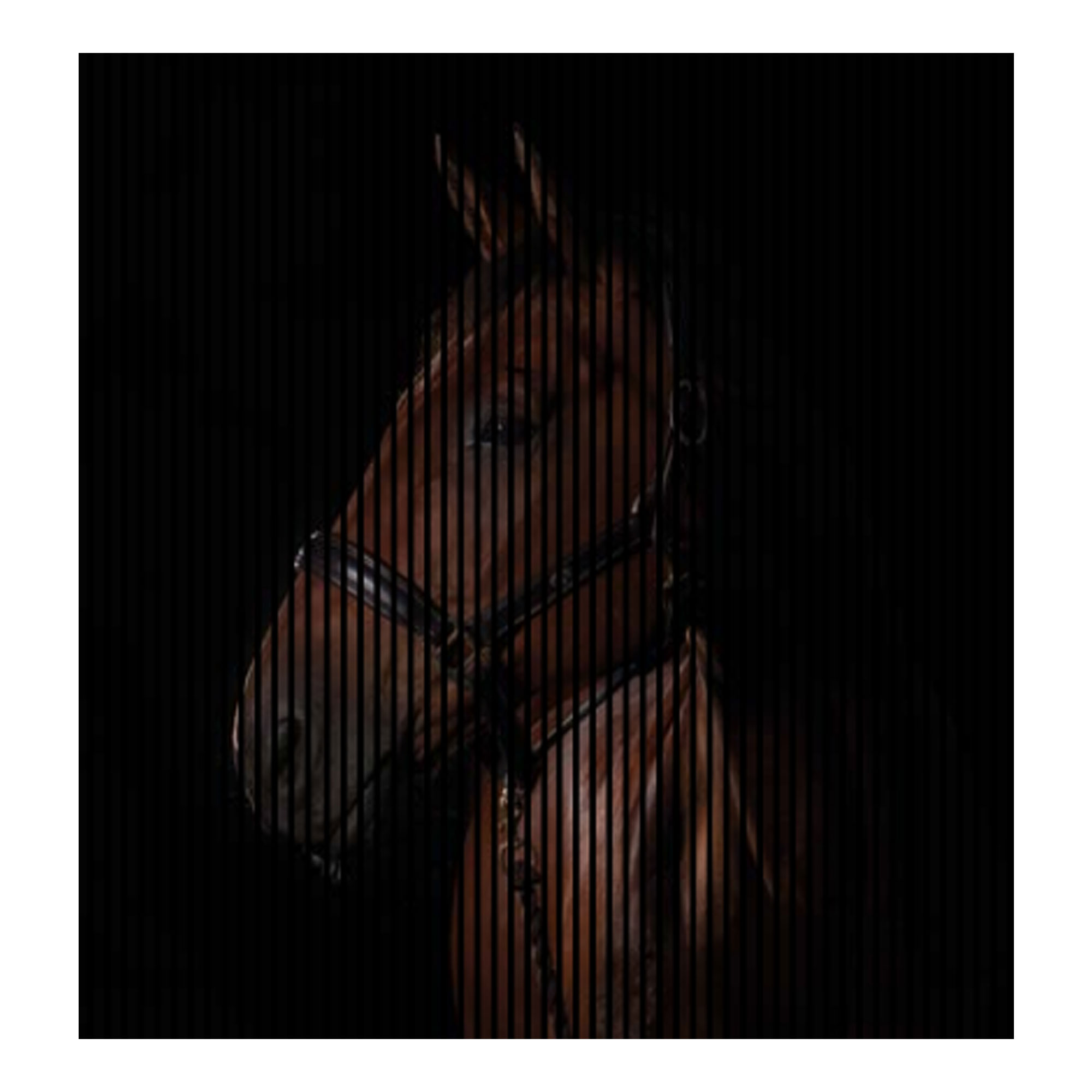 Paneles acústicos con impresión digital de un caballo, paneles murales en negro y marrón, disponibles en varios tamaños.