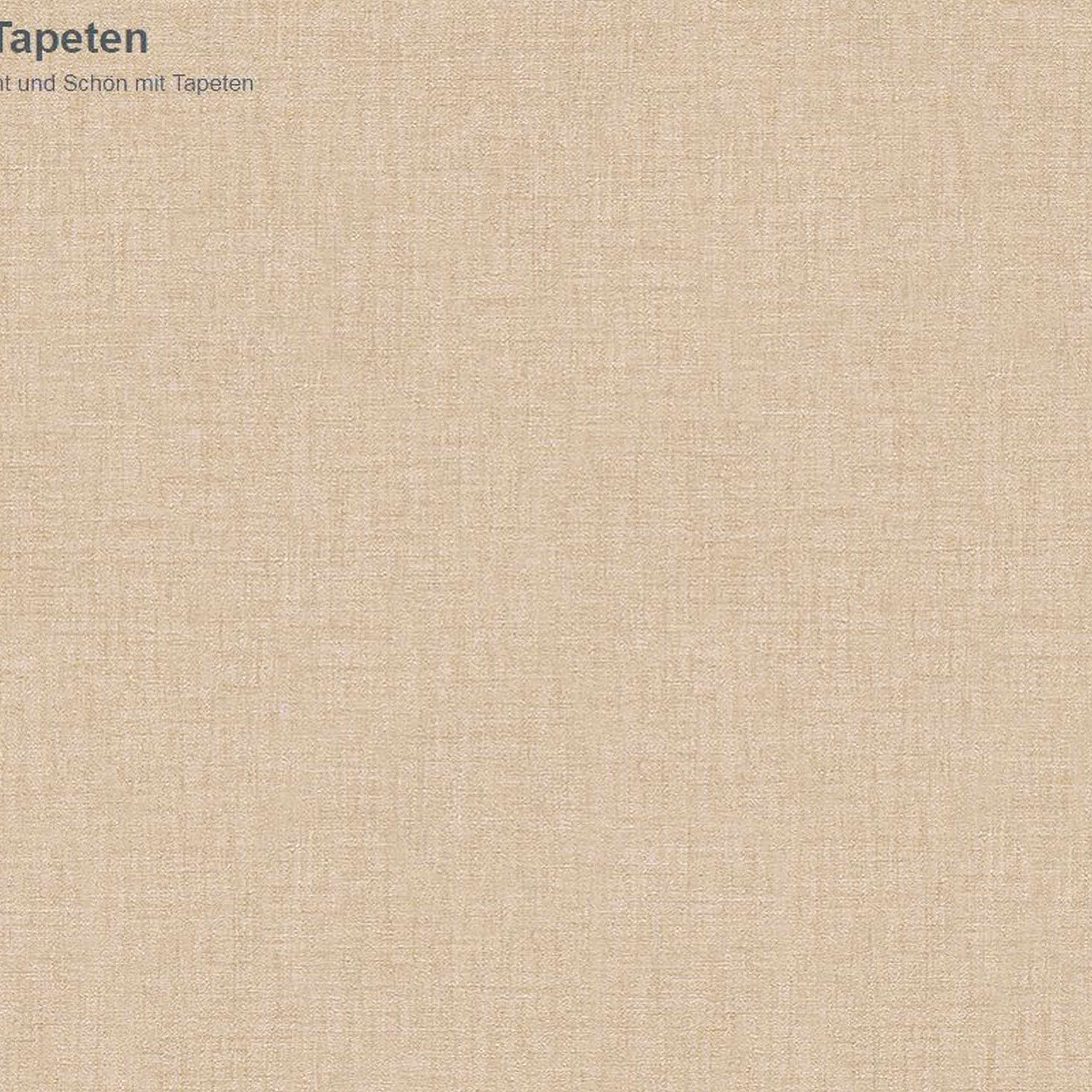 A.S. Creation Versace Home 2 962332 Papel pintado no tejido Color liso 0,7 x 10,05 m Beige