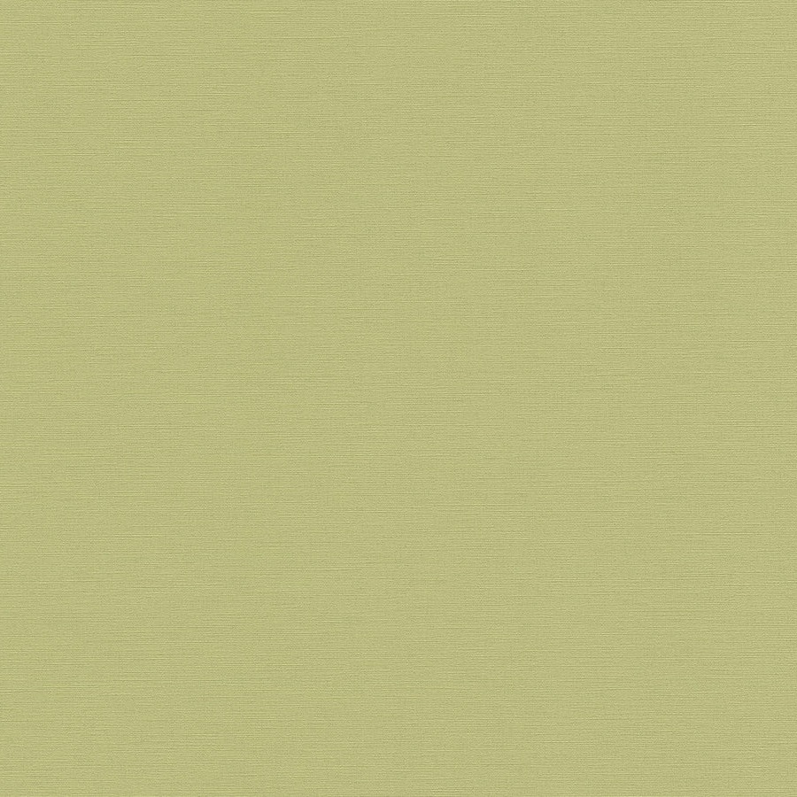 A.S. Creation Antigua 390974 Papel pintado no tejido Liso 10,05 x 0,53 m Verde