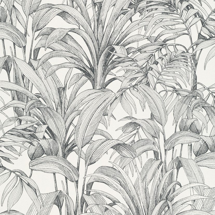 Grandeco Asperia A51401 Papel pintado no tejido Hojas 10,05 x 0,53 m Blanco