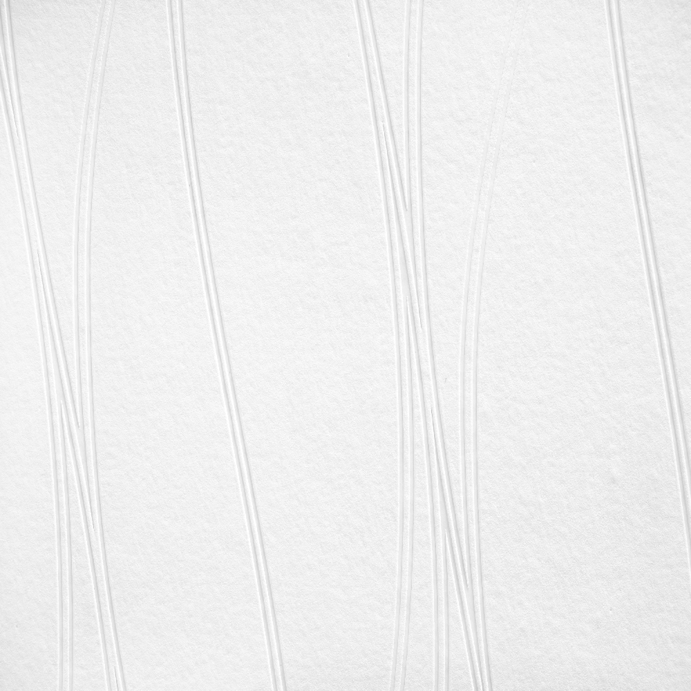 A.S. Creation Meistervlies 244918 Papel pintado no tejido pintable Ondas 0,53 x 10,05 m Blanco