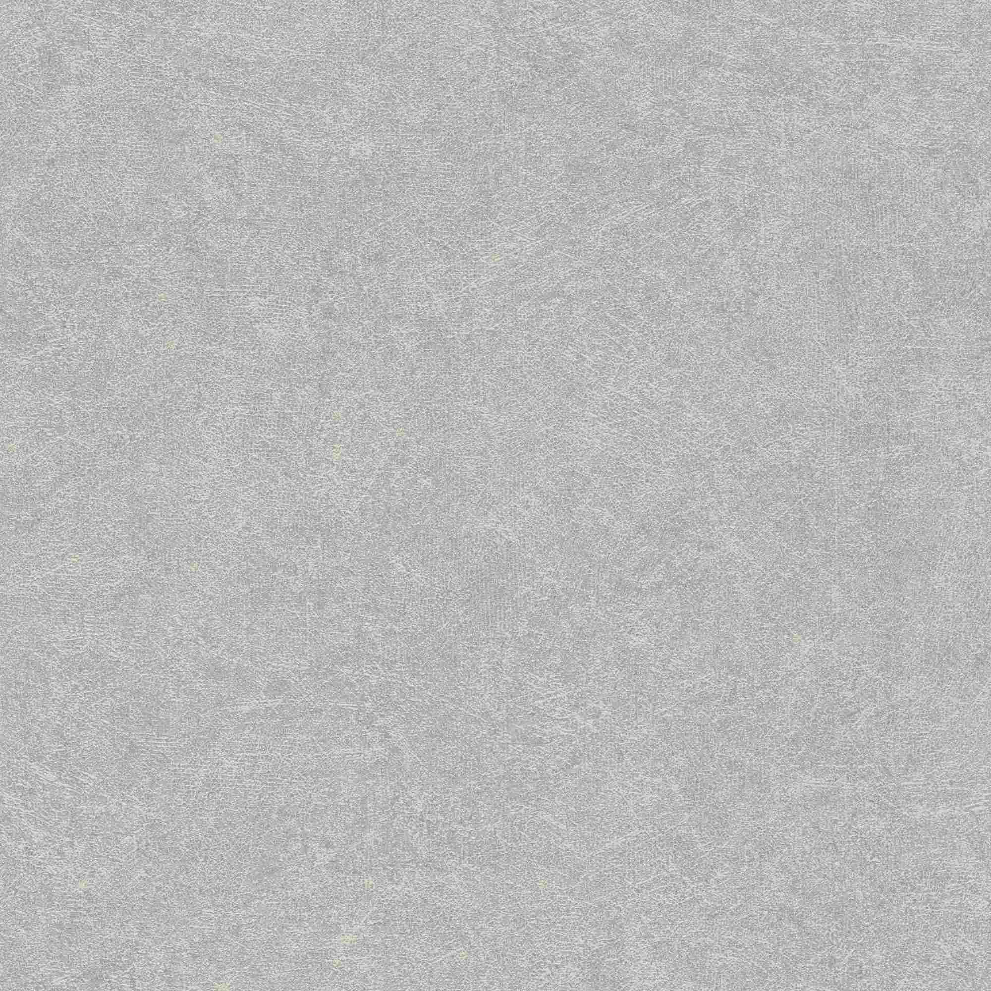 Rasch Bienvenido a casa 699807 Papel pintado no tejido Liso Color sólido 10,05 x 0,53 m Gris