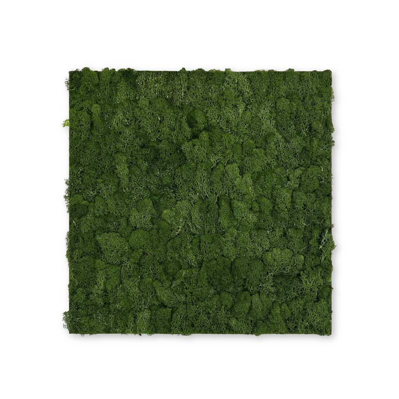 Panel acústico modular JANGAL de 520 x 520 x 40 mm, color verde oscuro, musgo natural.