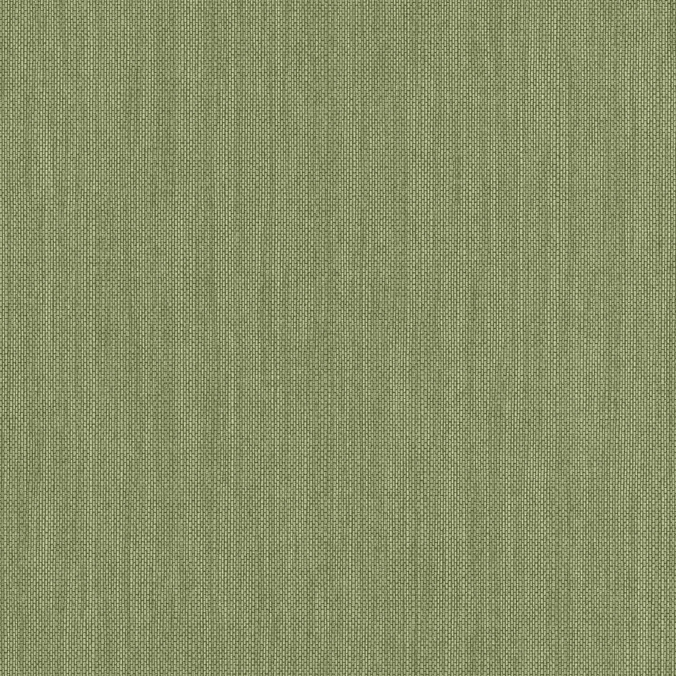 Erismann Paradise 2 630936 Papel pintado no tejido Color liso Universidad 0,53 x 10,05 m Verde