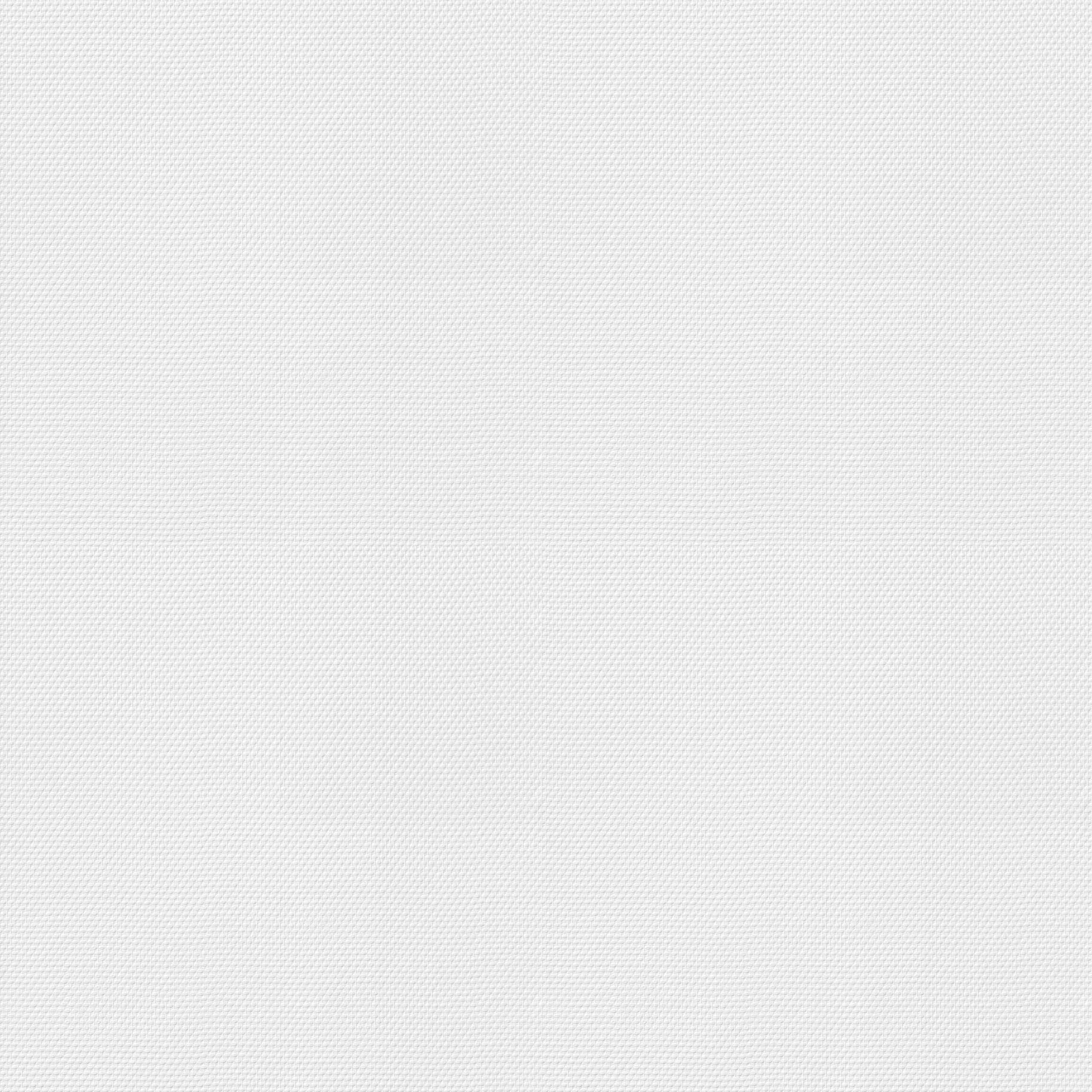 Rasch Selección 127300 Papel pintado no tejido Liso 0,53 x 10,05 m Blanco