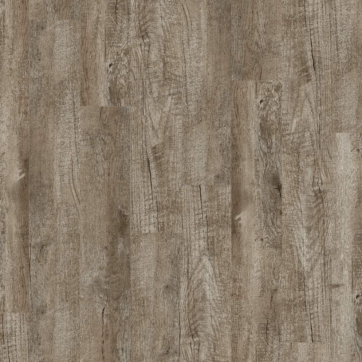 Suelo vinílico DESIGN 555 Dryback 1219 x 177 x 2,5 mm Vinilo adhesivo imitación madera gris NKL42