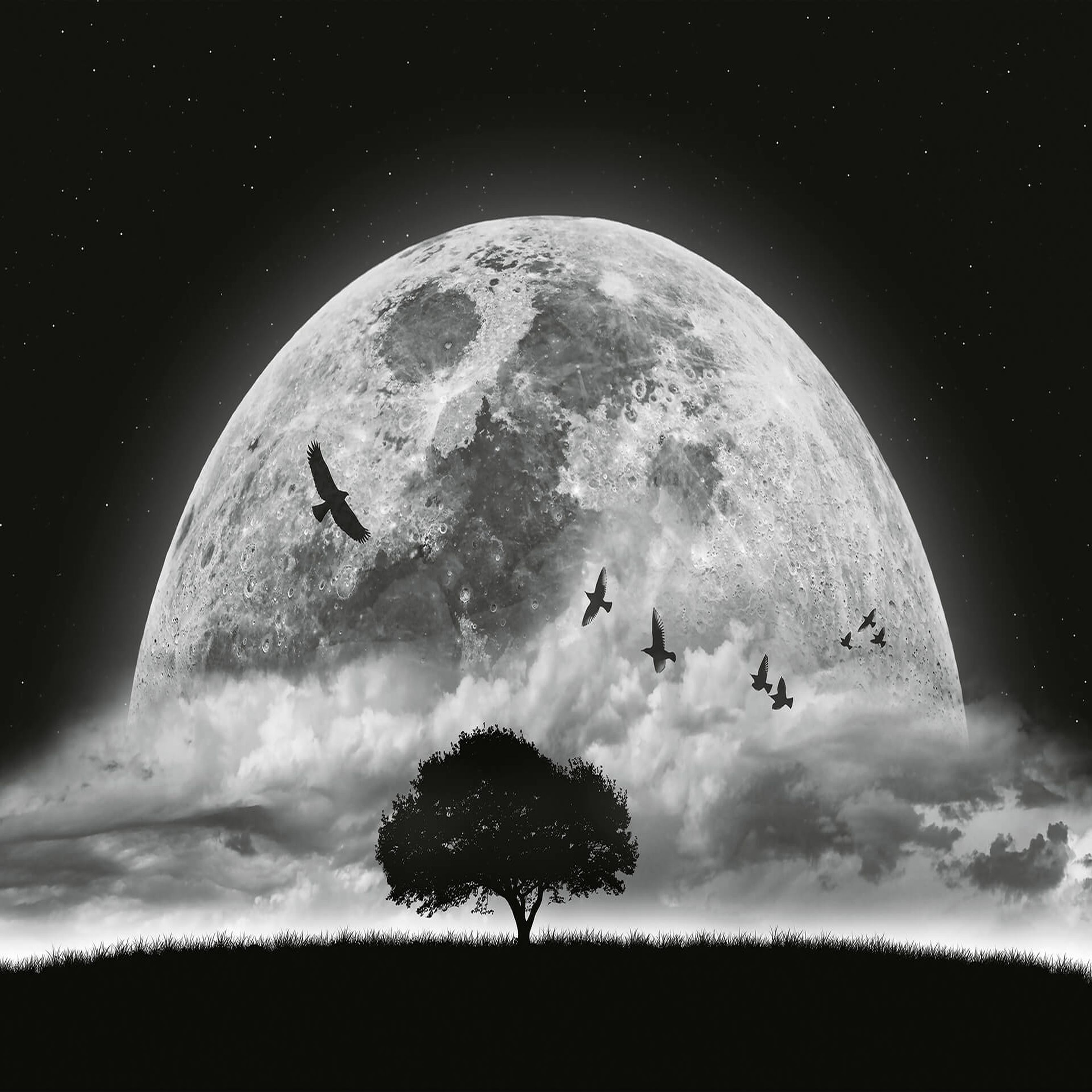 A.S. Creation Designwalls 2.0 DD119044 Fotomural Tejido no tejido 384 x 260 cm Horizontal