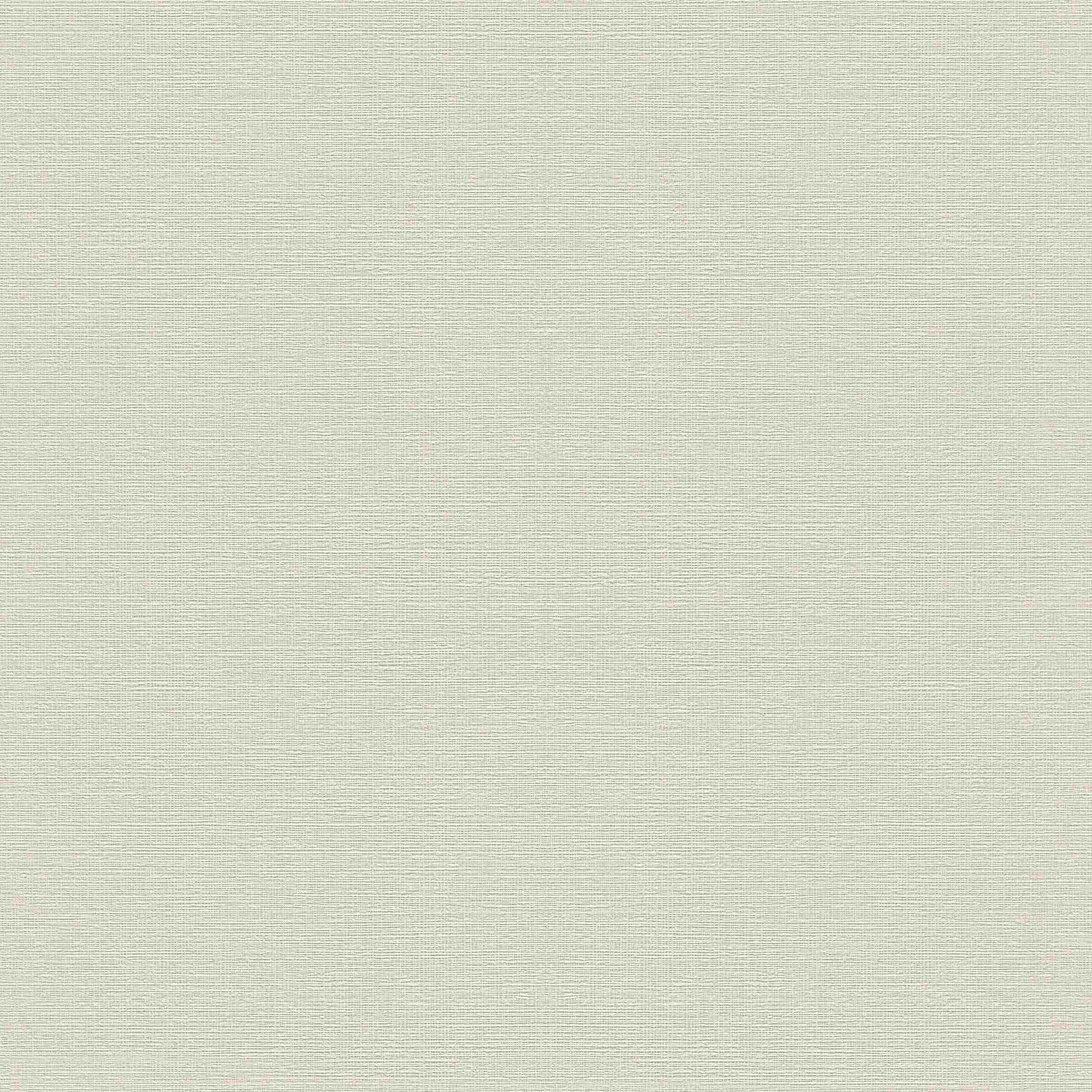 Rasch Selección 732337 Papel pintado no tejido Liso 0,53 x 10,05 m Crema