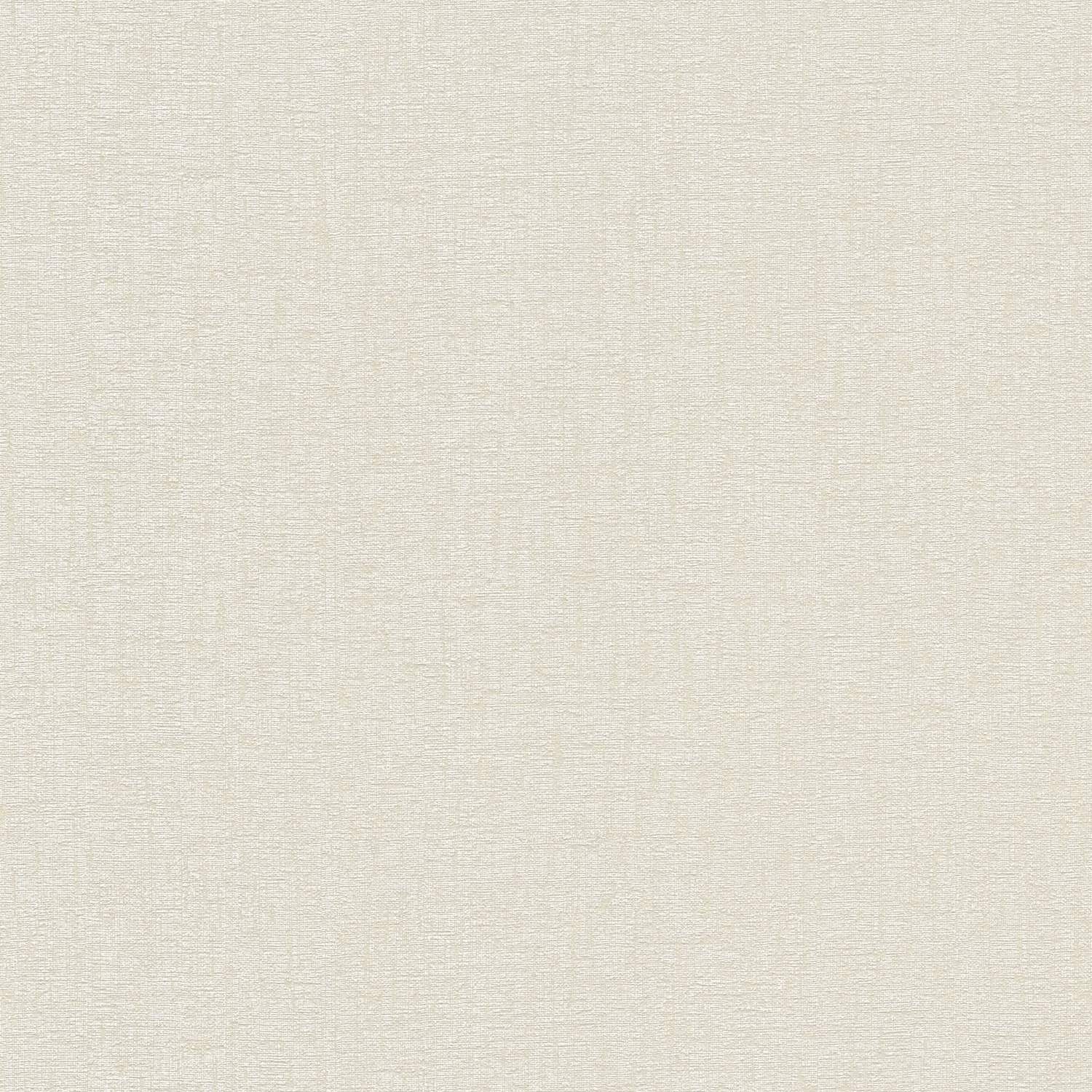 A.S. Creation Historias de la vida 396557 Papel pintado no tejido Color liso Universidad 0,53 x 10,05 m Beige