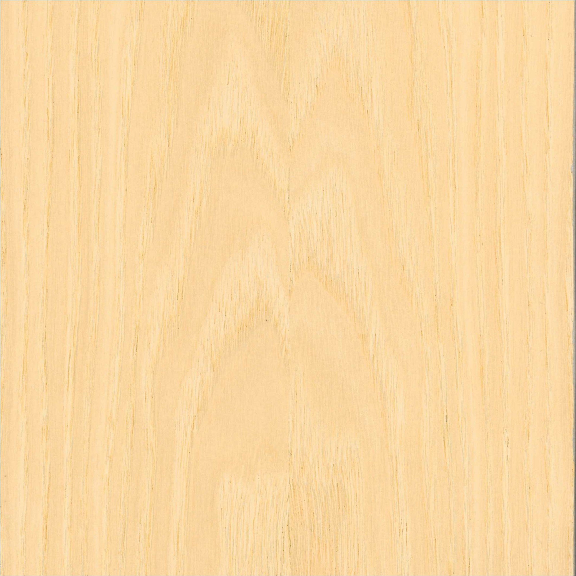 Paneles acústicos de 572,5 x 19 mm, MDF chapado en fresno, varias longitudes Neuhofer