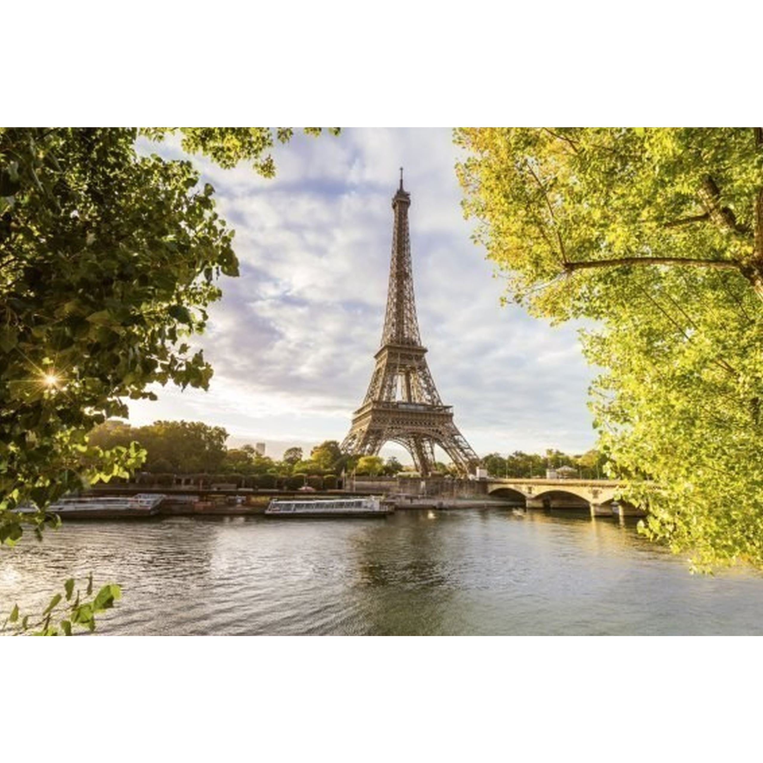 Dimex Línea Dimex MS-2-0028 Fotomural Tejido no tejido Varios tamaños París Verde