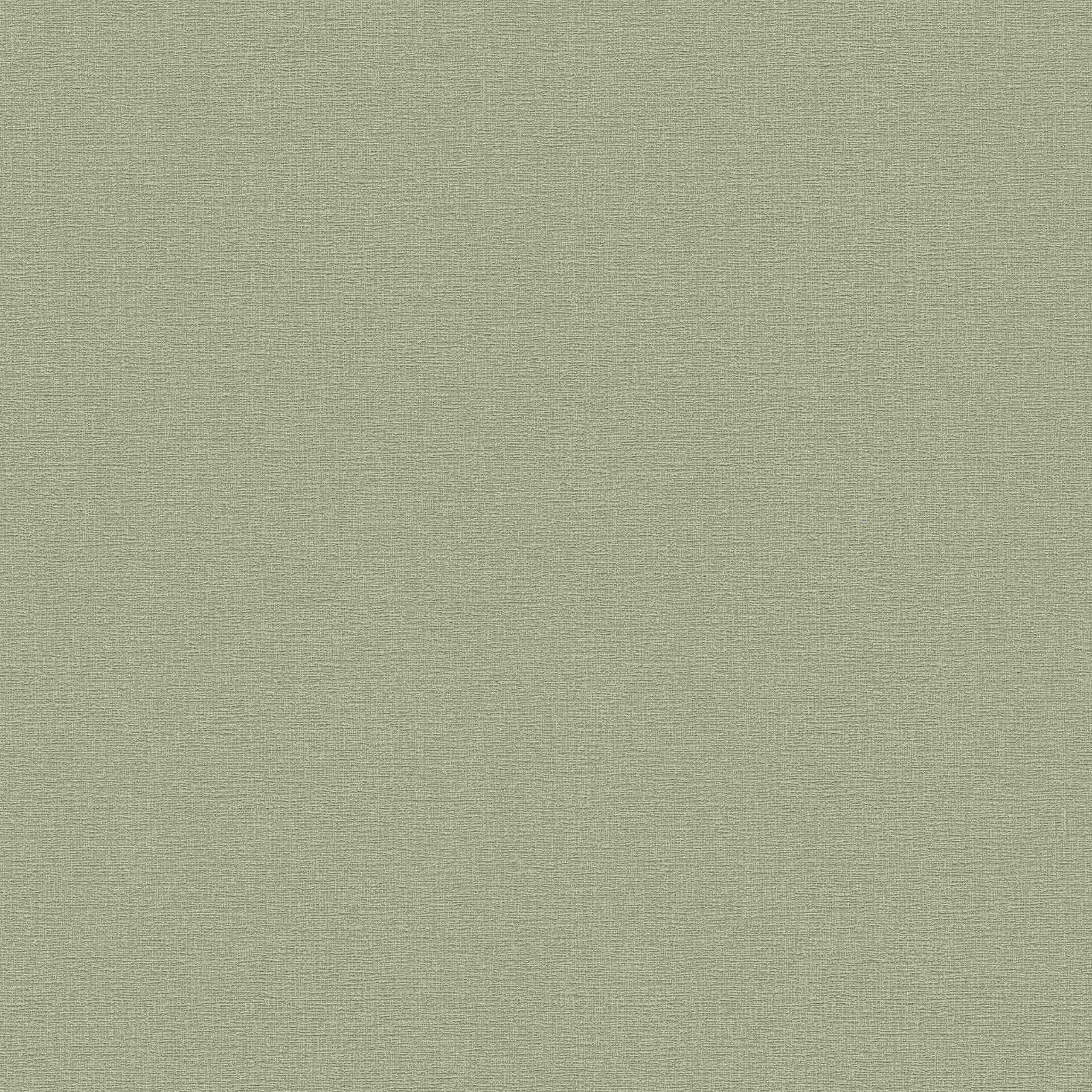 A.S. Creation Sabor 367137 Papel pintado no tejido Color liso Universidad 0,53 x 10,05 m Verde