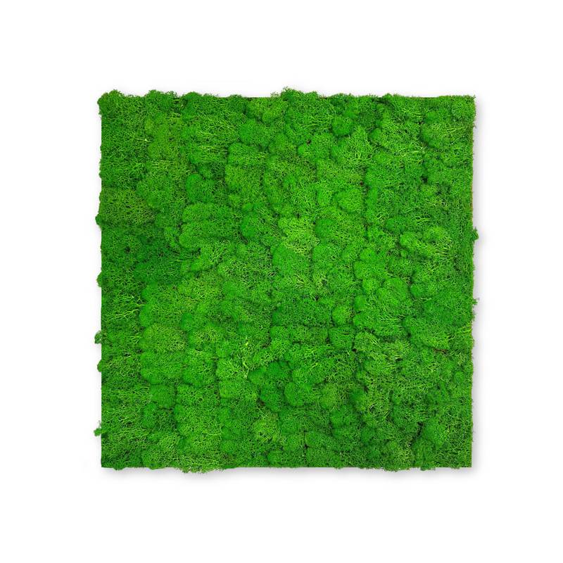 Panel acústico modular JANGAL de 520 x 520 x 40 mm, color verde intenso, con revestimiento de musgo natural.