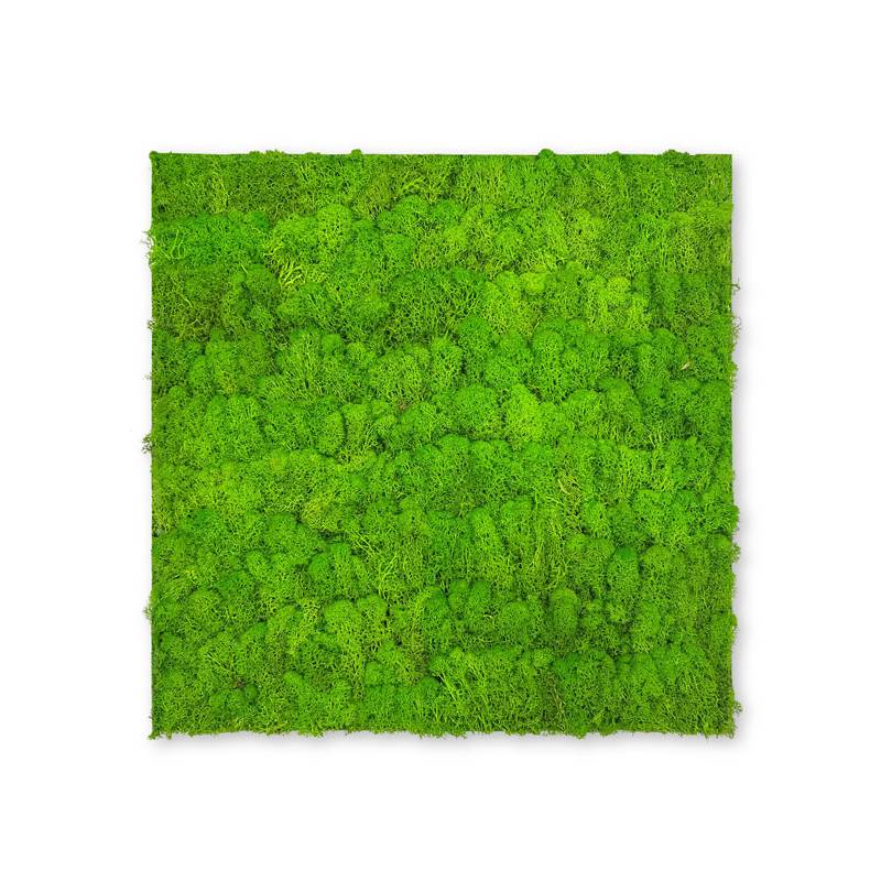 Panel acústico modular JANGAL de 520 x 520 x 40 mm, color verde brillante, musgo natural.