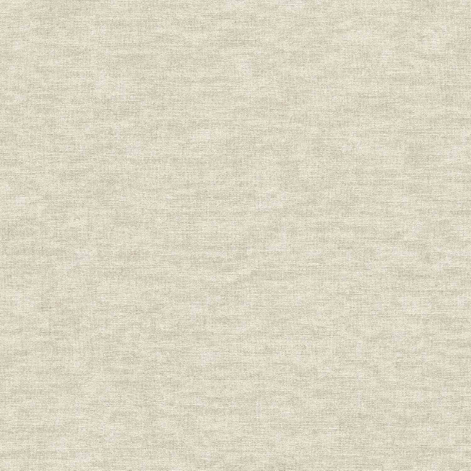 A.S. Creation Superficies inteligentes 395654 Papel pintado no tejido Universidad Color liso 0,53 x 10,05 m Gris