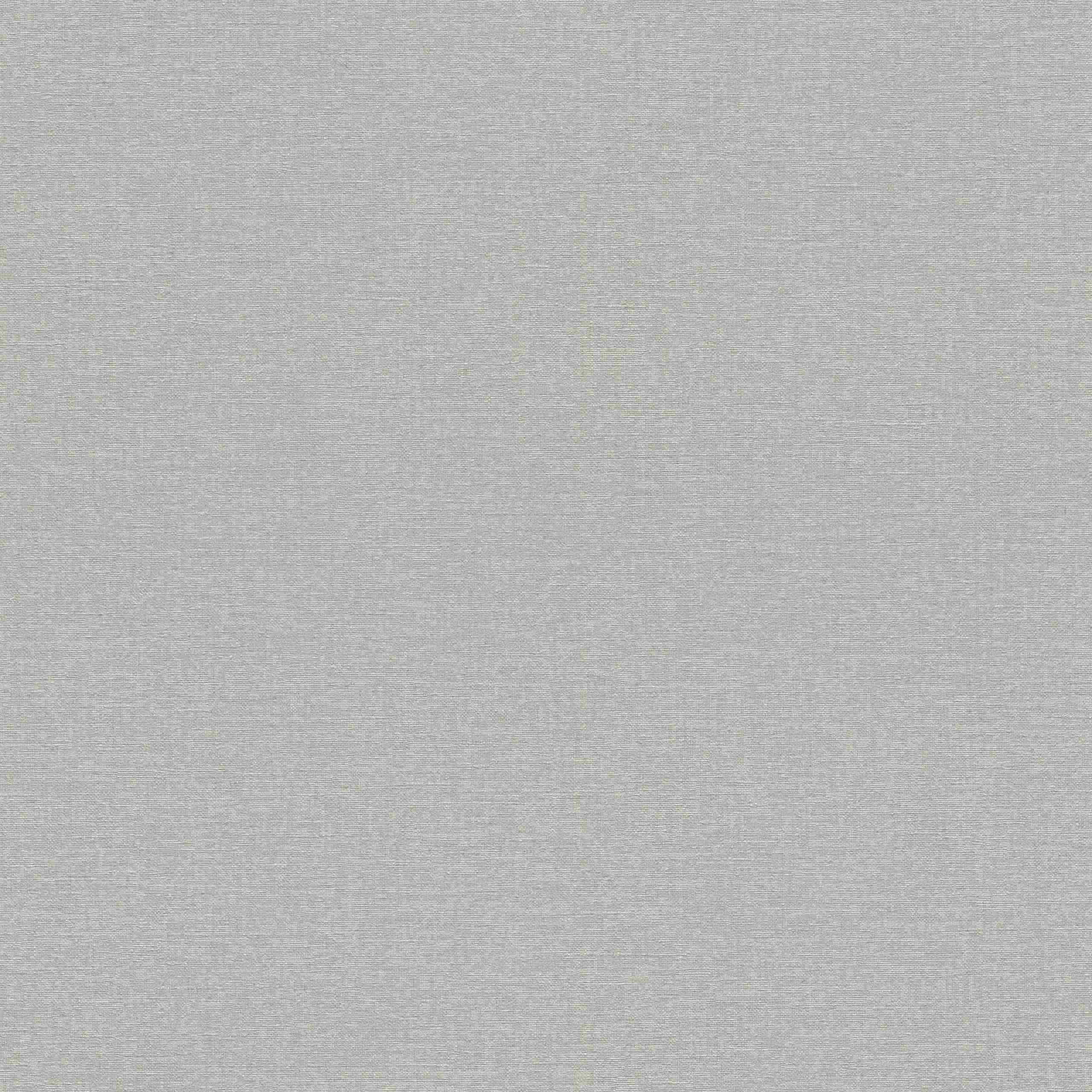 Rasch Lo mejor de Florencia 452051 Papel pintado no tejido Liso 0,53 x 10,05 m Gris