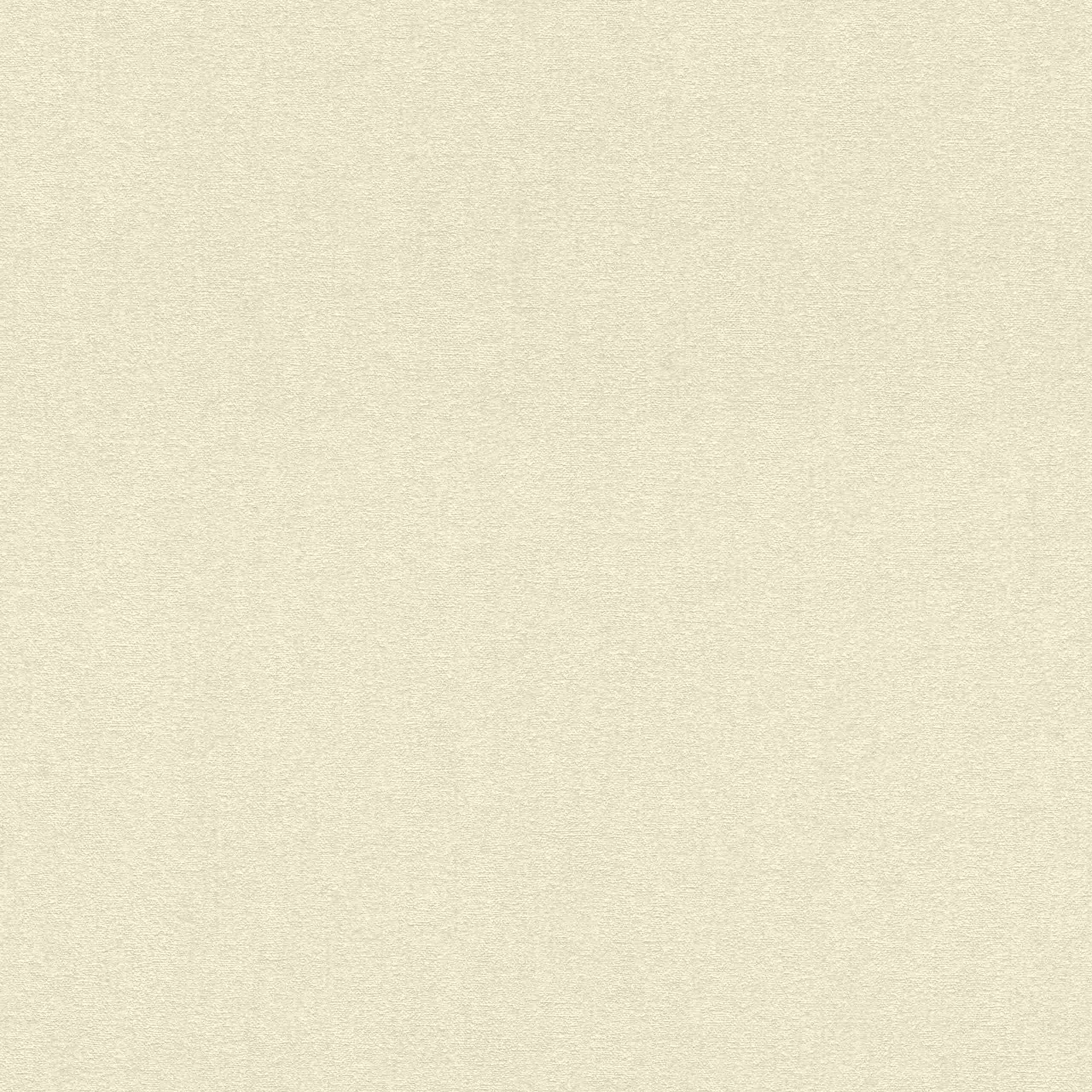 Rasch Uptown 402322 Papel pintado no tejido Liso 0,53 x 10,05 m Beige
