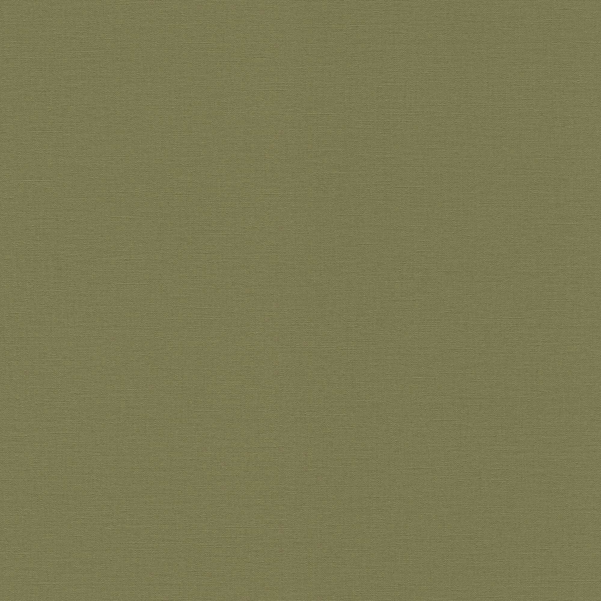 Papel pintado no tejido 452068 Verde Liso Color Sólido Encanto Campestre Rasch
