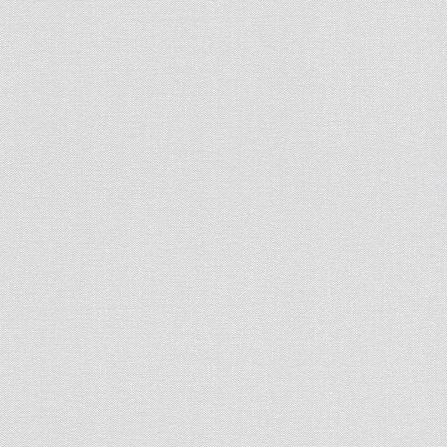 A.S. Creation Terra 297327 Papel pintado no tejido Color liso 10,05 x 0,53 m Gris