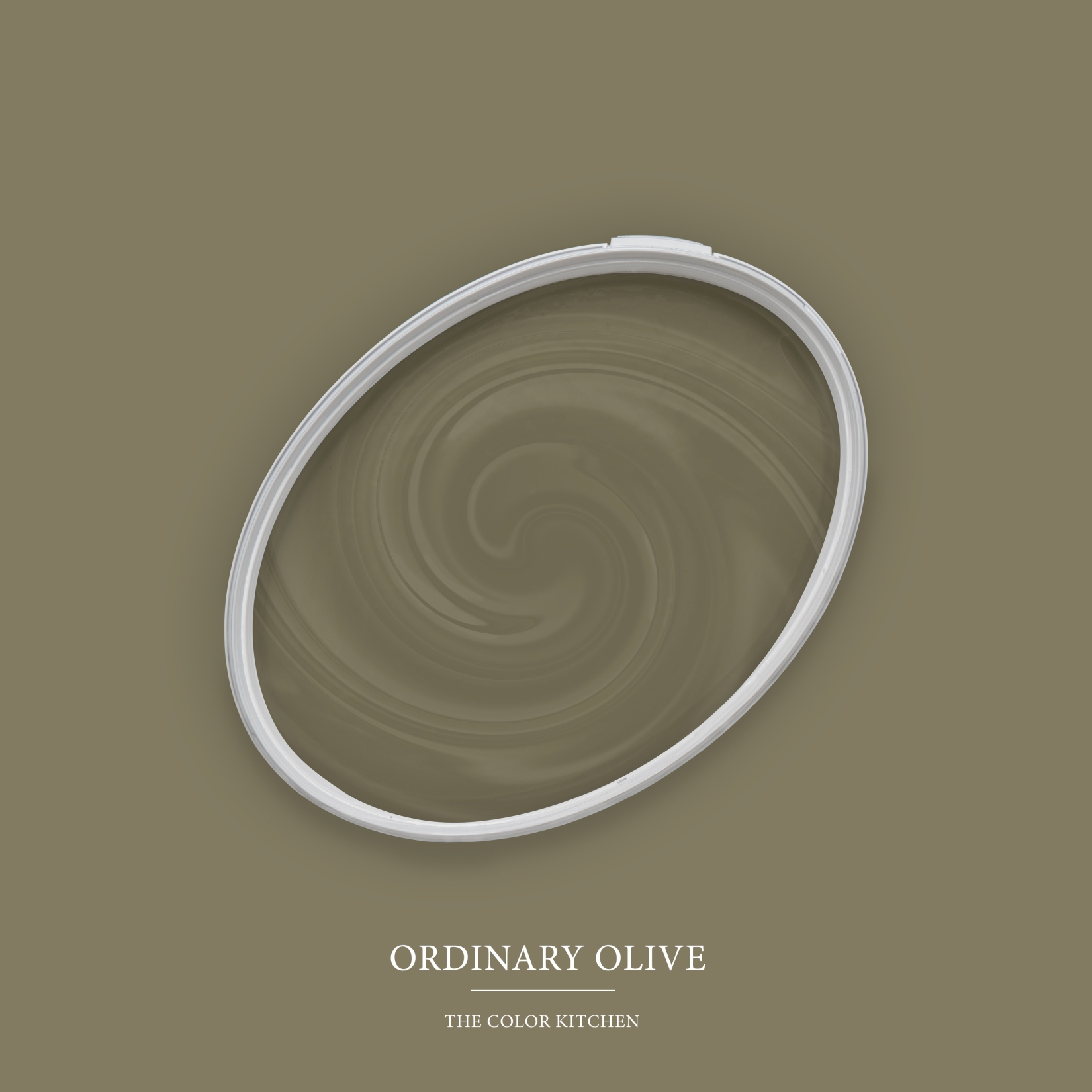 Pintura mural verde mate The Color Kitchen Ordinary Olive Pintura plástica exclusiva para interiores, alta cobertura