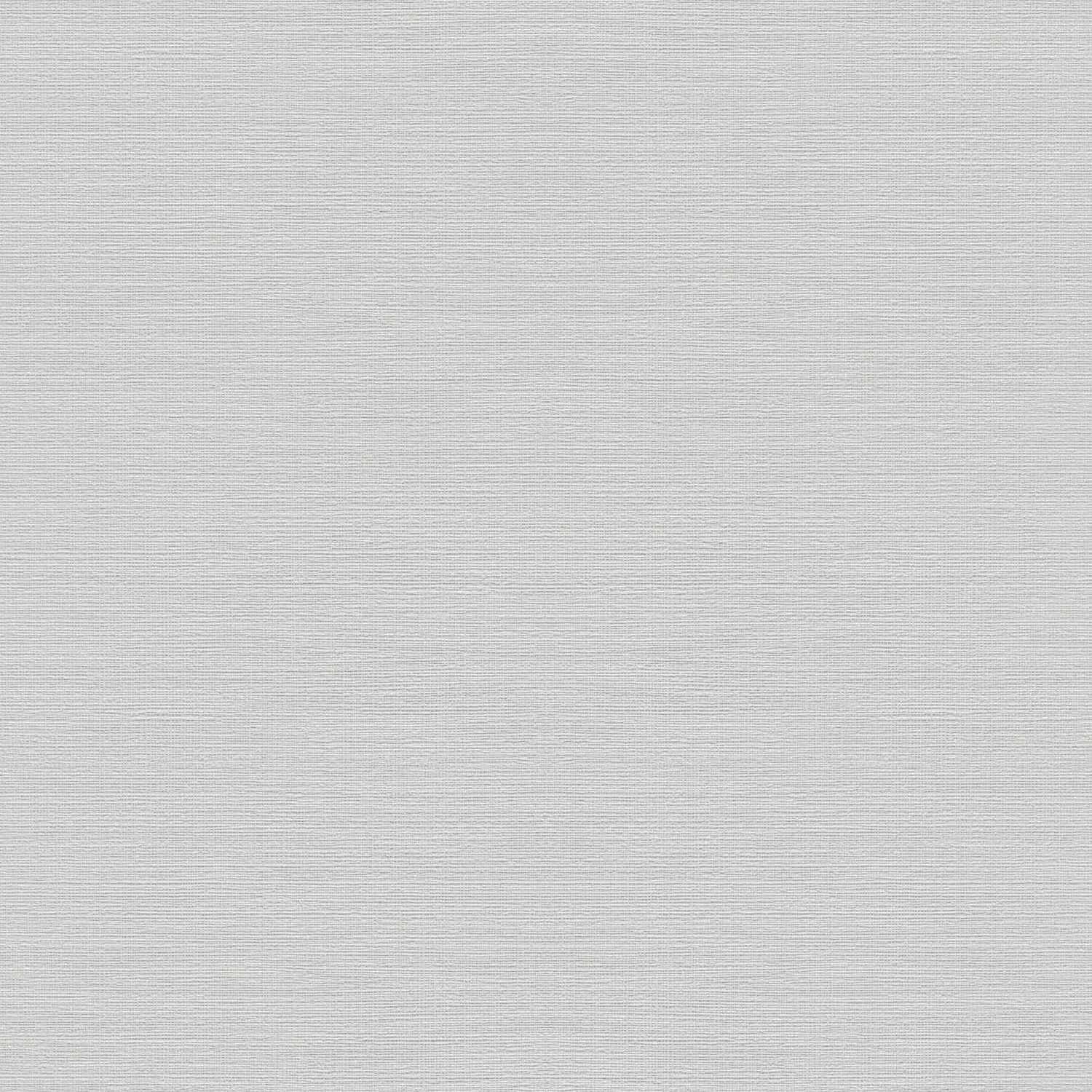 Rasch Dale color a tu vida 732344 Papel pintado no tejido Liso Color sólido 0,53 x 10,05 m Plata Gris