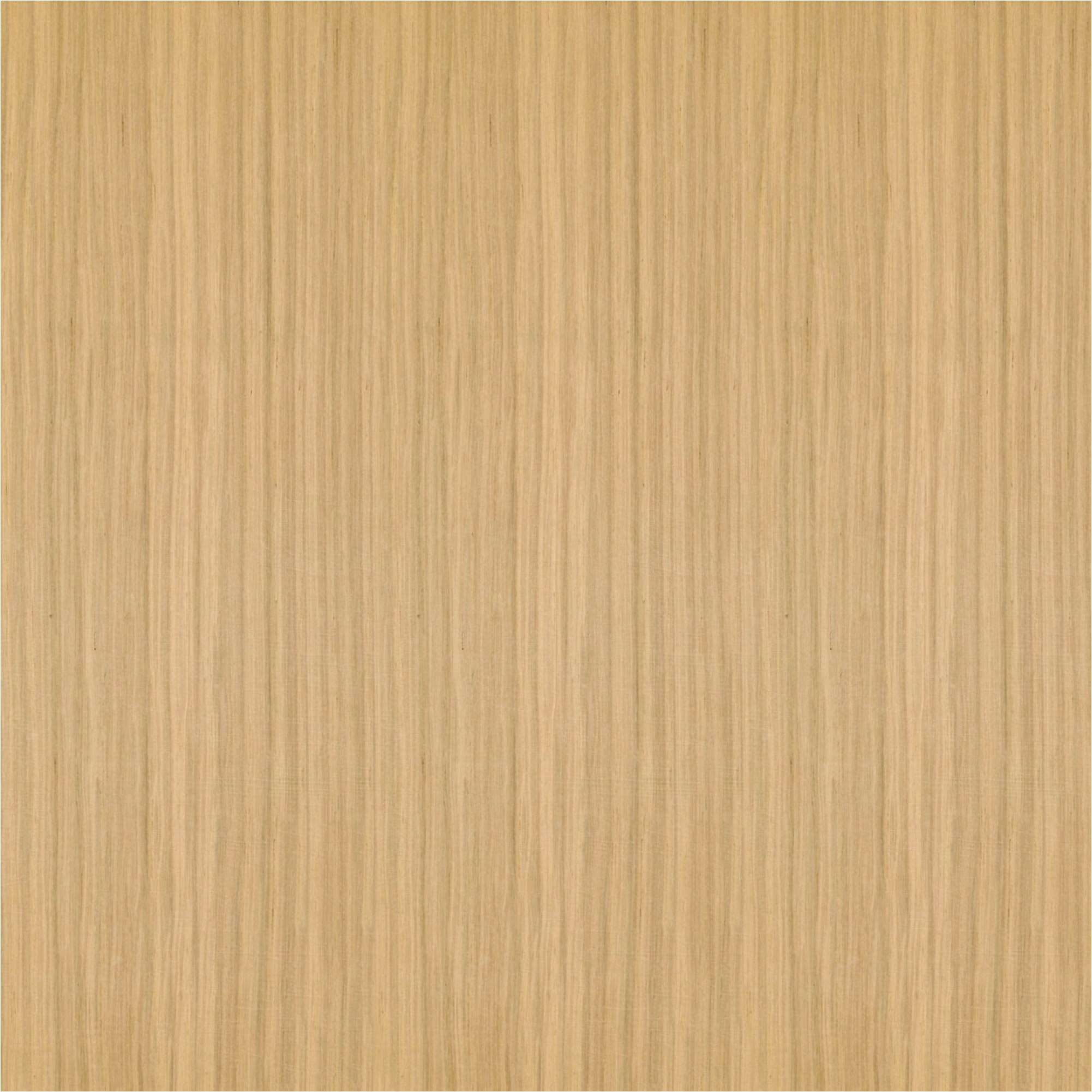 Paneles acústicos de pared de MDF chapado en roble natural de 572,5 x 19 mm, varias longitudes Neuhofer