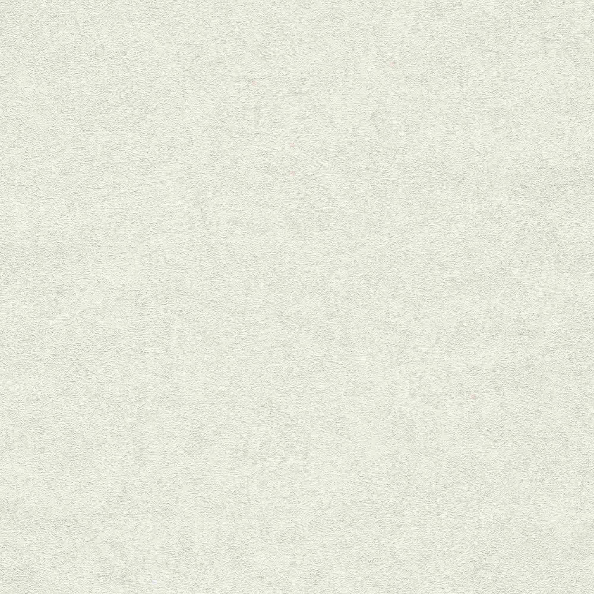 Papel pintado no tejido 10377-26 liso 0,53 x 10,05 m Fashion for Walls Erismann