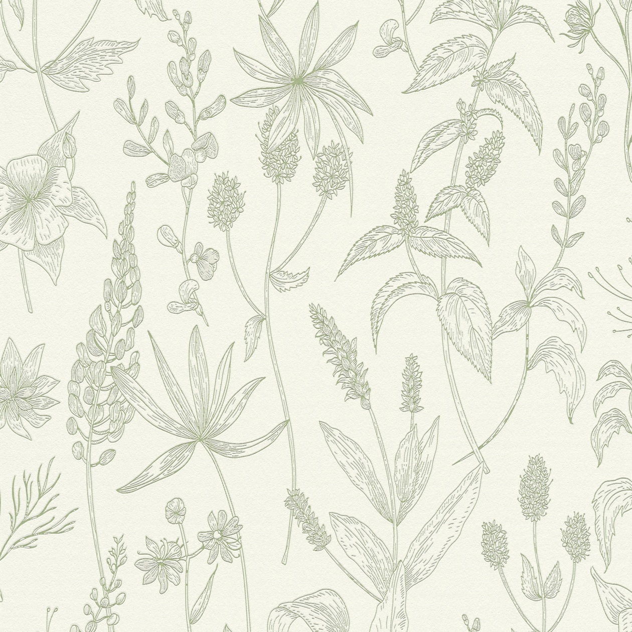 Papel pintado no tejido 373635 Verde Floral Jette 5 A.S. Creation