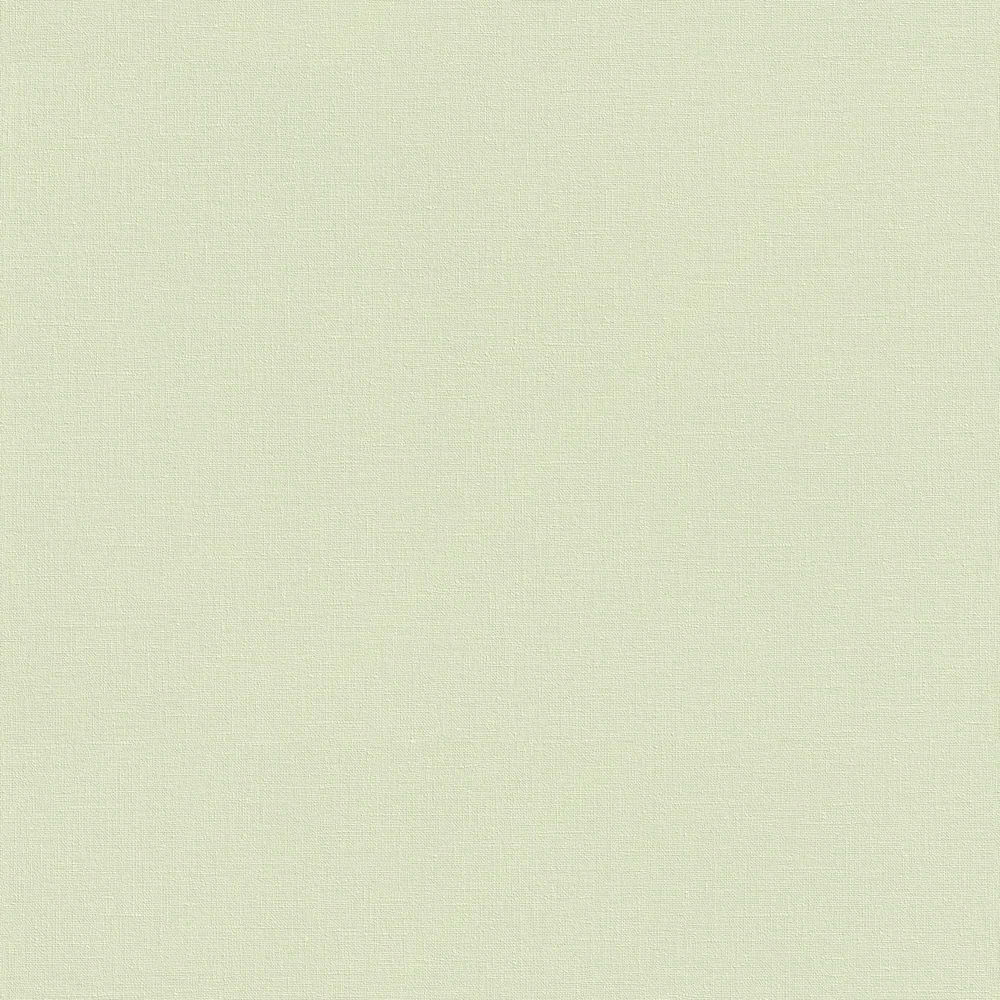 Papel pintado no tejido 447538 Verde Liso Color Sólido Encanto Campestre Rasch