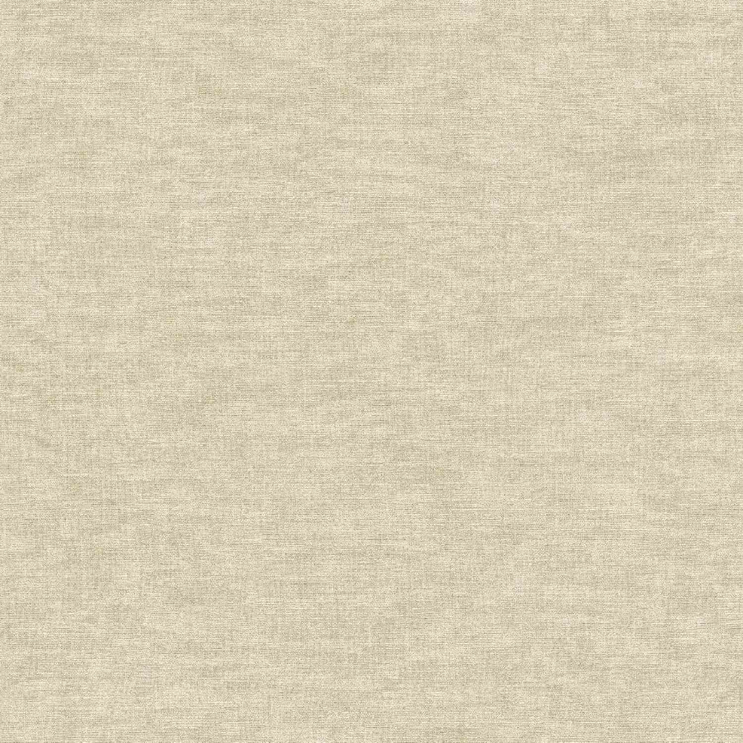 A.S. Creation Superficies inteligentes 395655 Papel pintado no tejido Universidad Color liso 0,53 x 10,05 m Gris