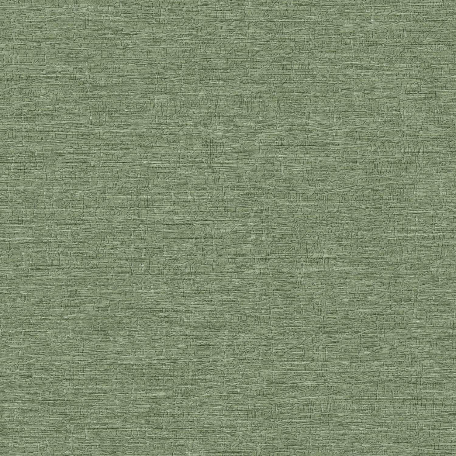 A.S. Creation Historias de Vida 396481 Papel pintado no tejido Estructura 0,53 x 10,05 m Verde