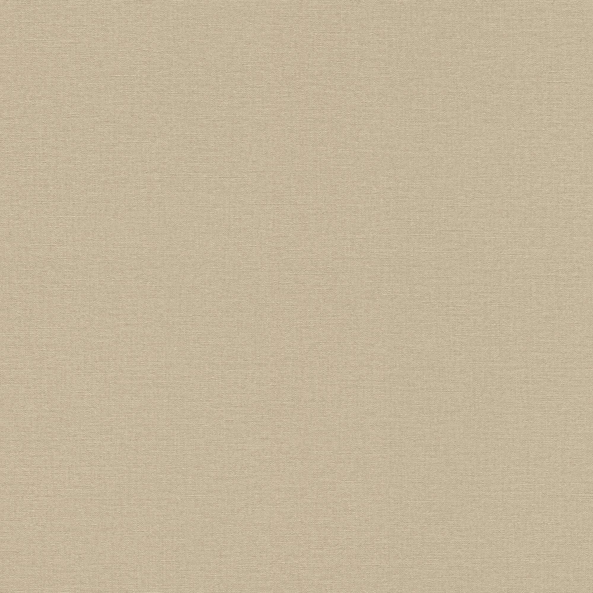 Papel pintado no tejido 449815 Marrón Liso Color Sólido Encanto Campestre Rasch