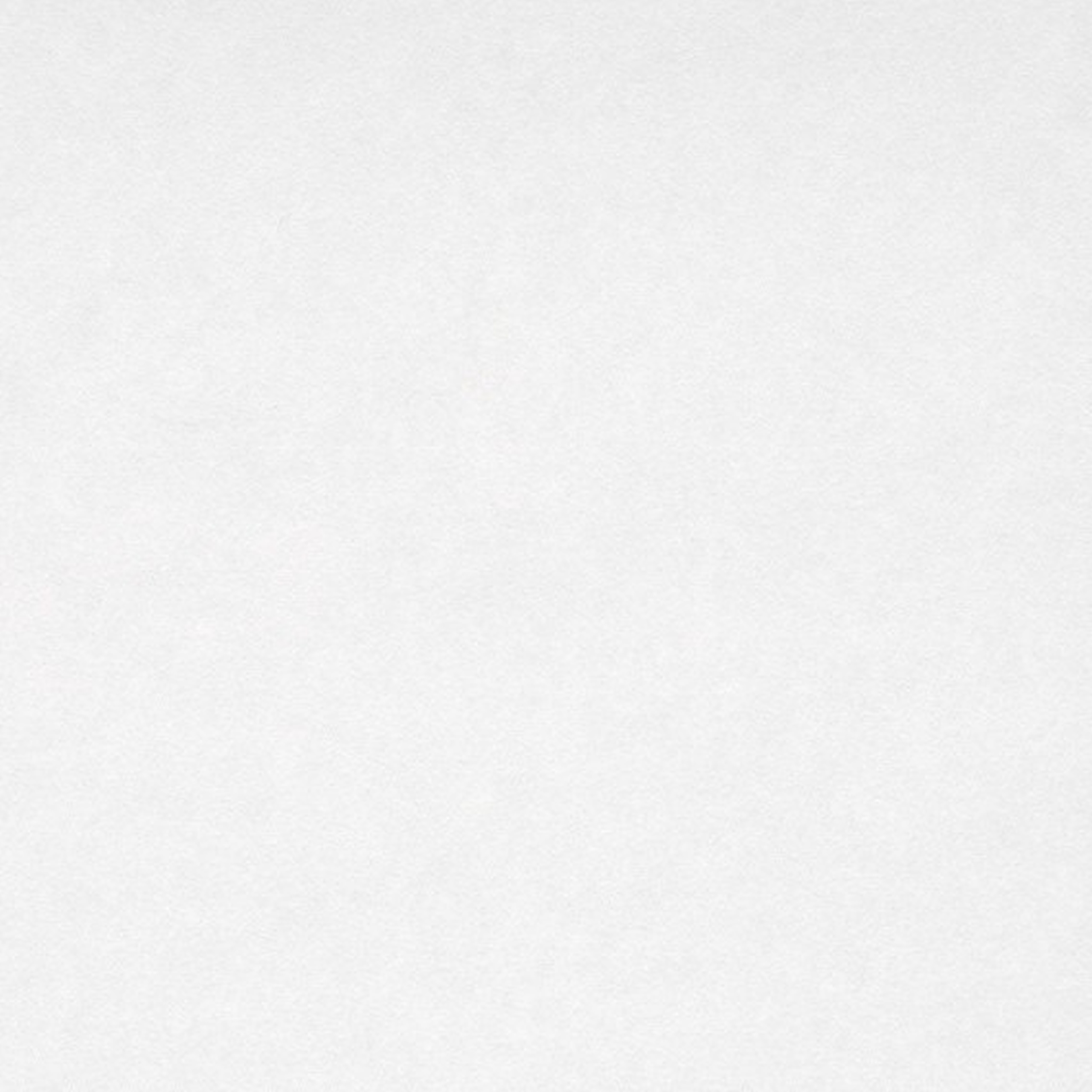 A.S. Creation Meistervlies 865519 Papel pintado no tejido Liso Color sólido 0,75 x 25 m Blanco