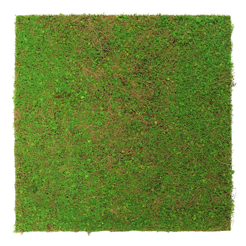 Panel acústico modular JANGAL de 520 x 520 x 50 mm, fibra natural de coco verde claro. Pared vegetal.
