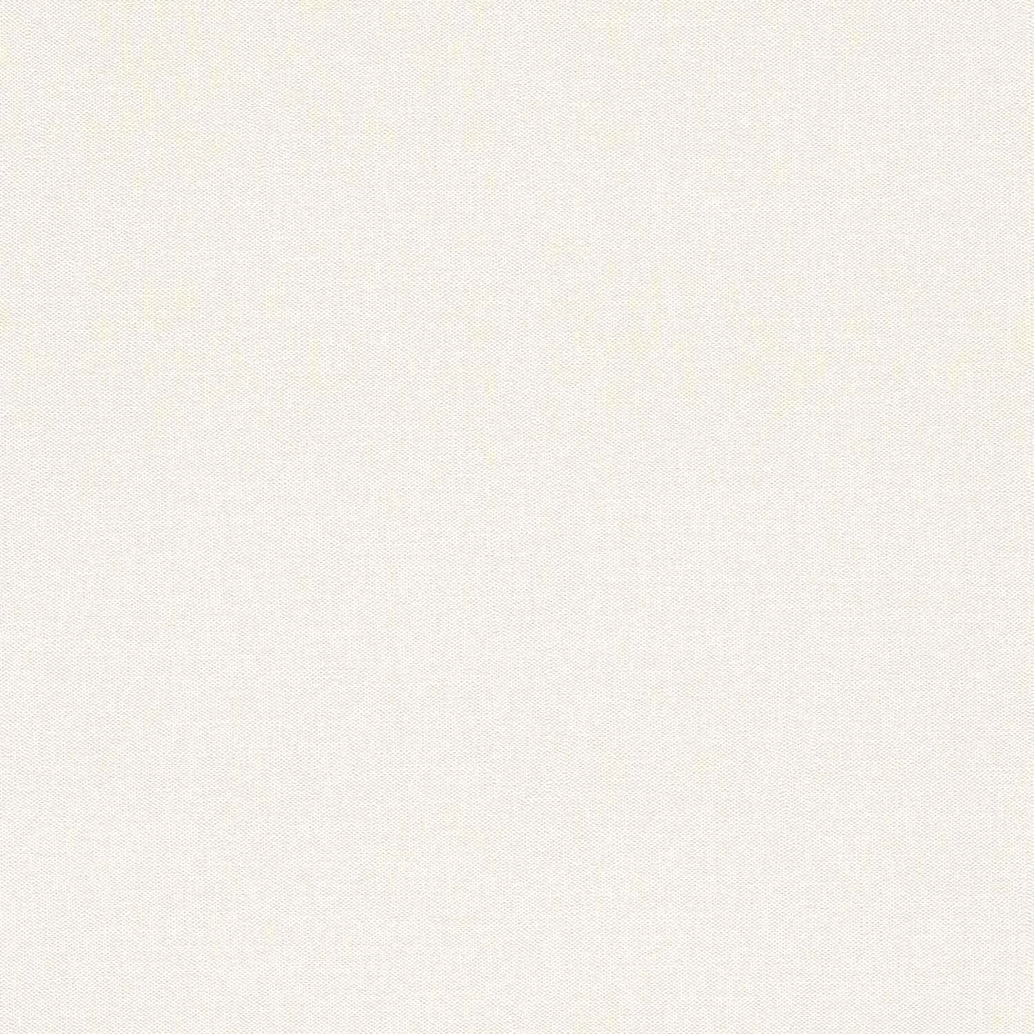 Rasch Dale color a tu vida 633368 Papel pintado no tejido Liso 0,53 x 10,05 m Blanco