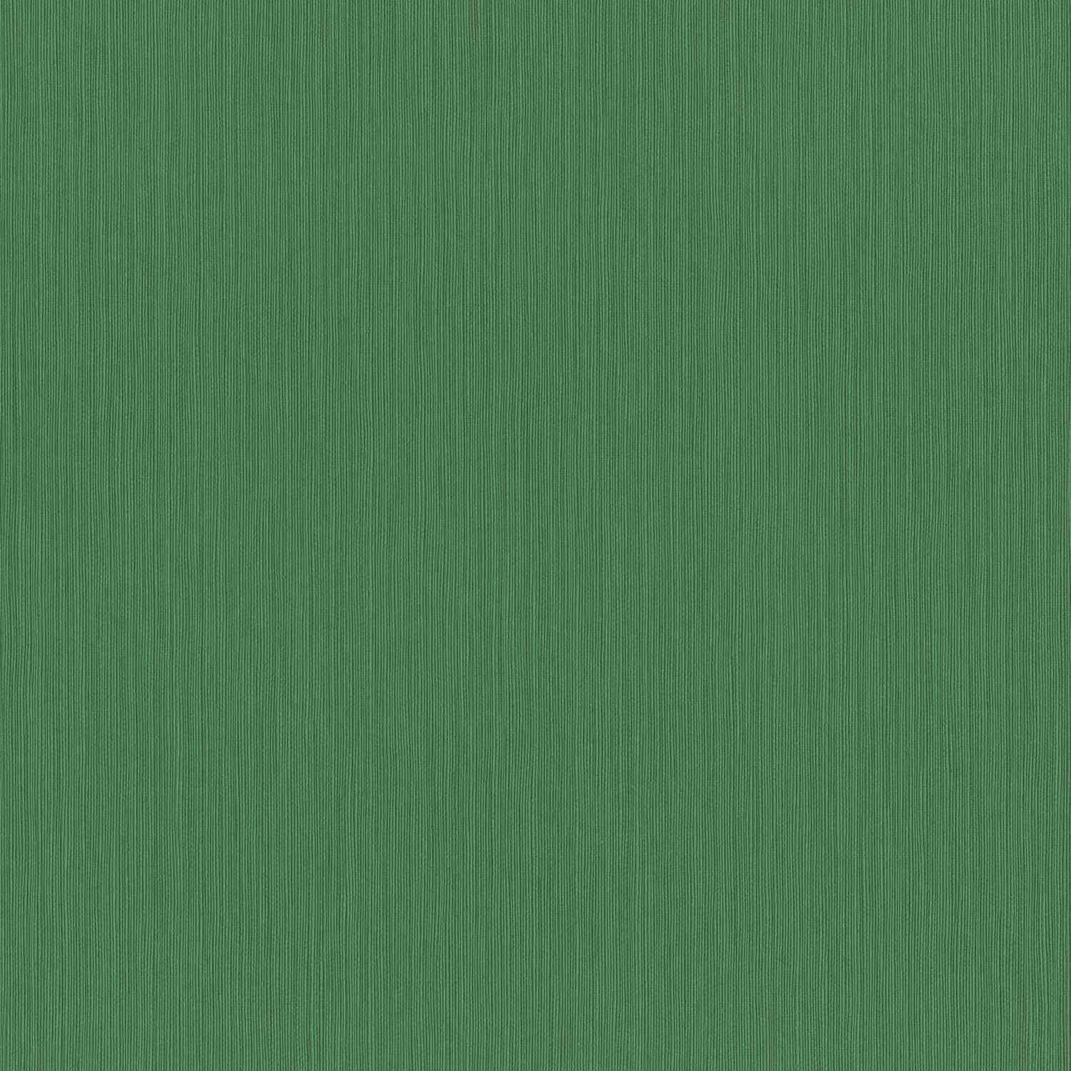 Rasch Curiosity 537673 Papel pintado no tejido Liso 0,53 x 10,05 m Verde
