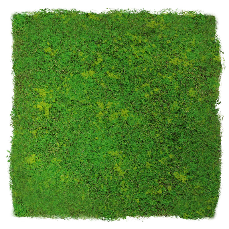 Panel acústico modular JANGAL de 520 x 520 x 30 mm, diseño de fibra verde claro, pared vegetal de musgo