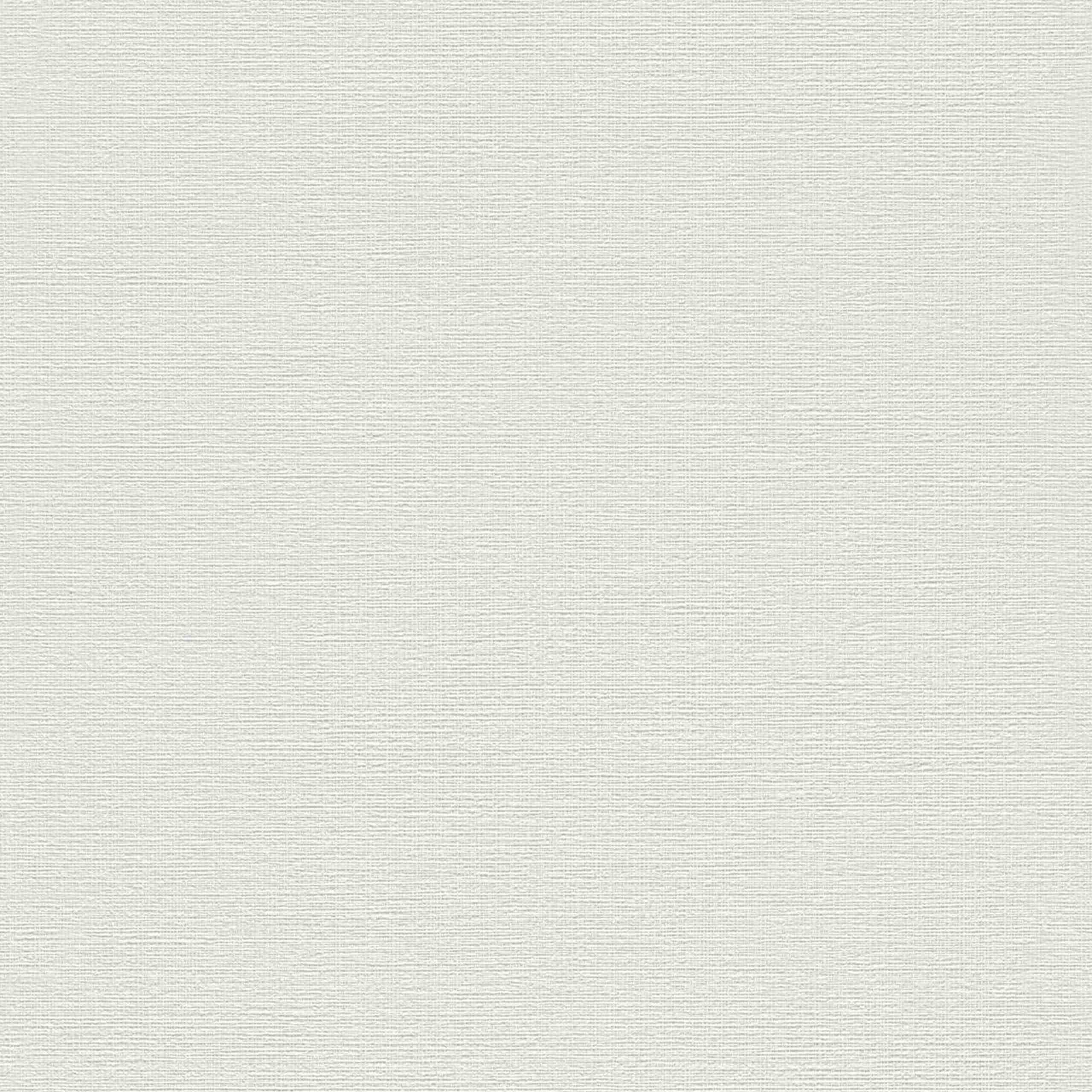 Rasch Our Best 2022 732351 Papel pintado no tejido, color liso 0,53 m x 10,05 m Gris