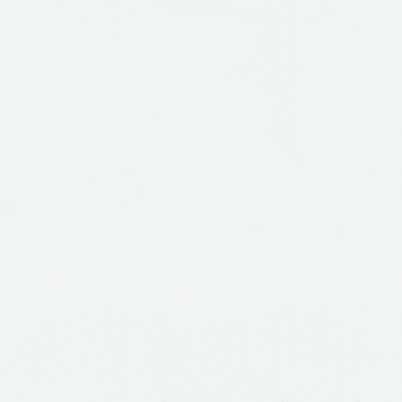 Papel pintado no tejido 10004-01 liso 0,53 x 10,05 m GMK - Moda para paredes Erismann