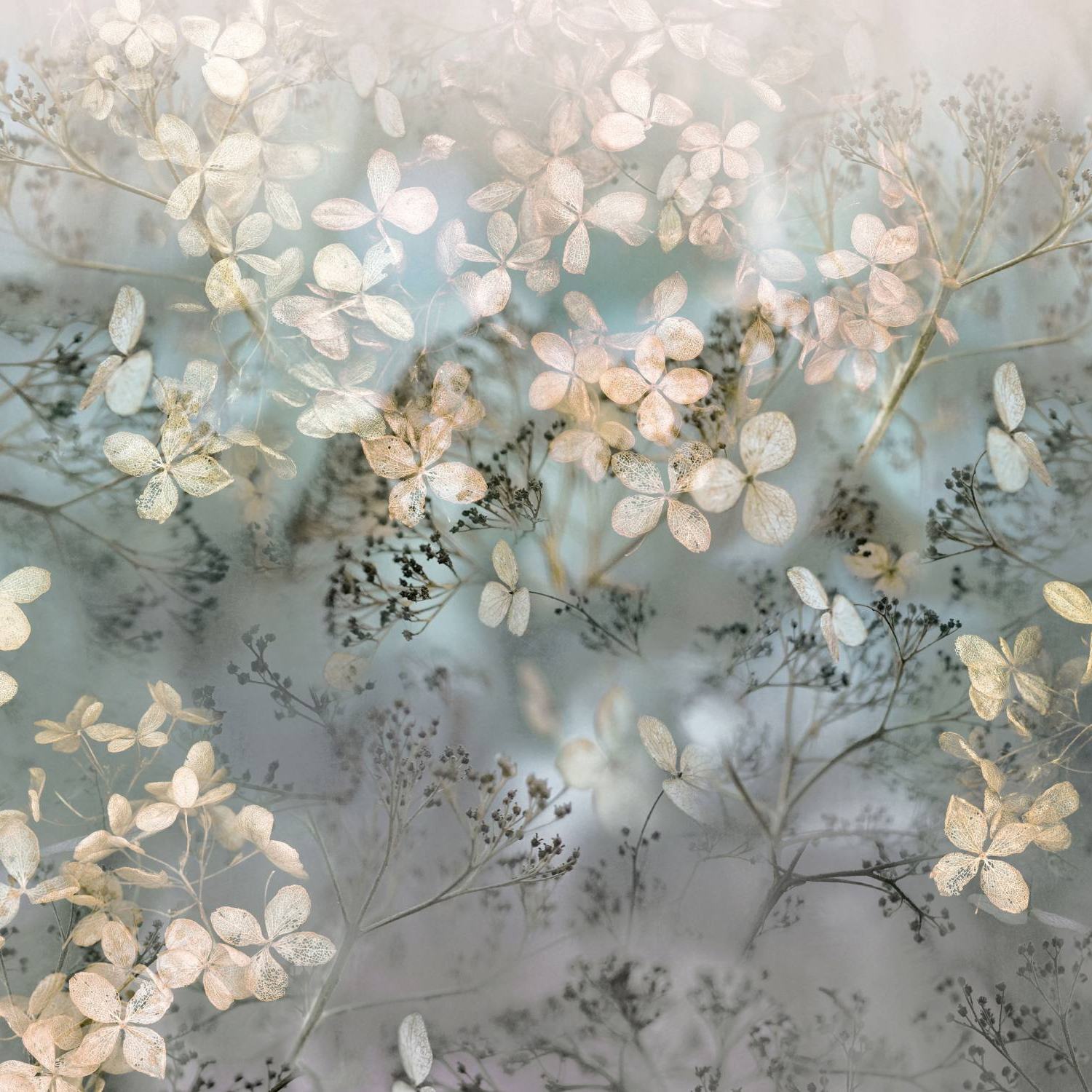 Papel pintado fotográfico no tejido 2236-25 Floral Flowers 3 x 2,7 m Edición Art Erismann