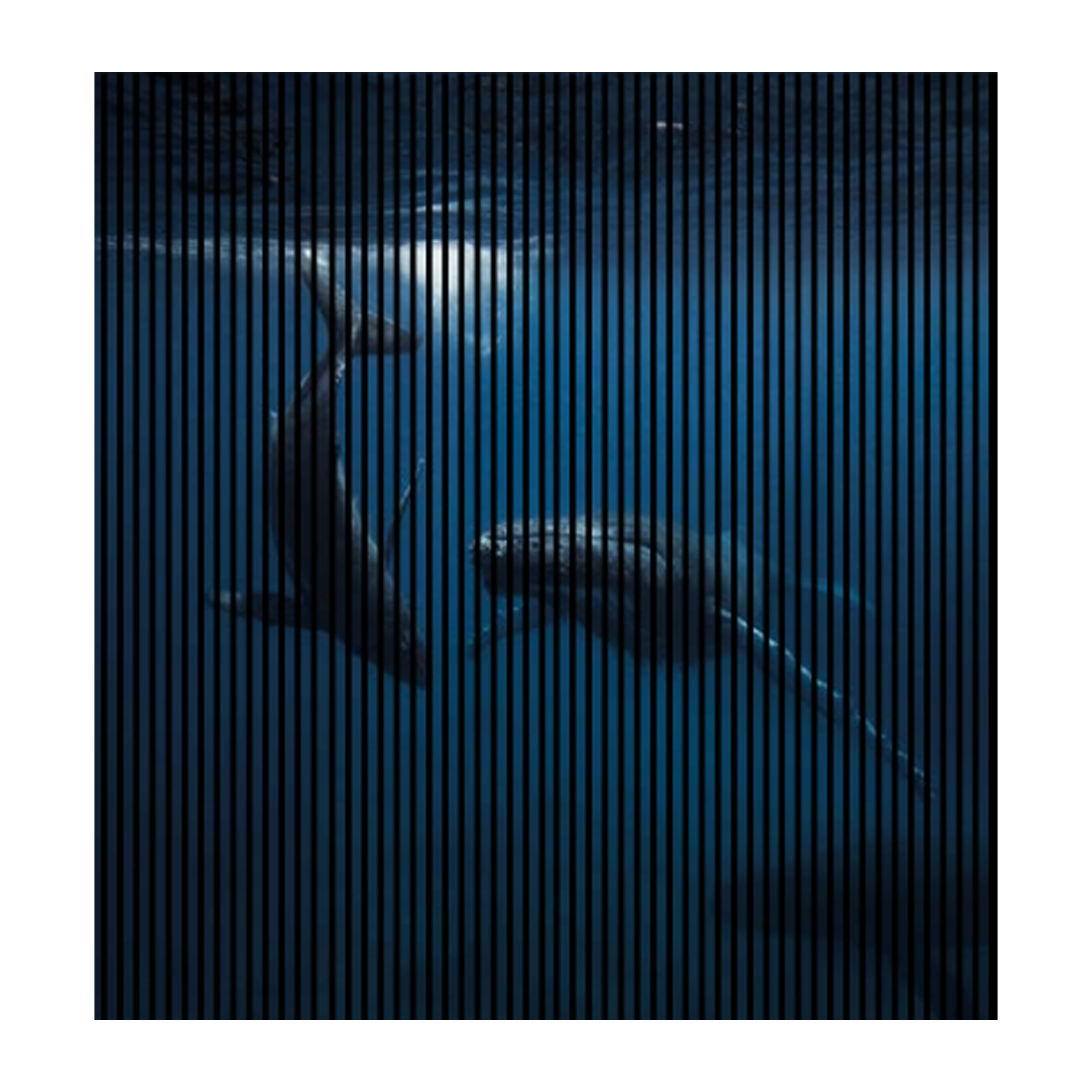 Paneles acústicos con impresión digital de ballenas y el mar, paneles murales azules en varios tamaños.